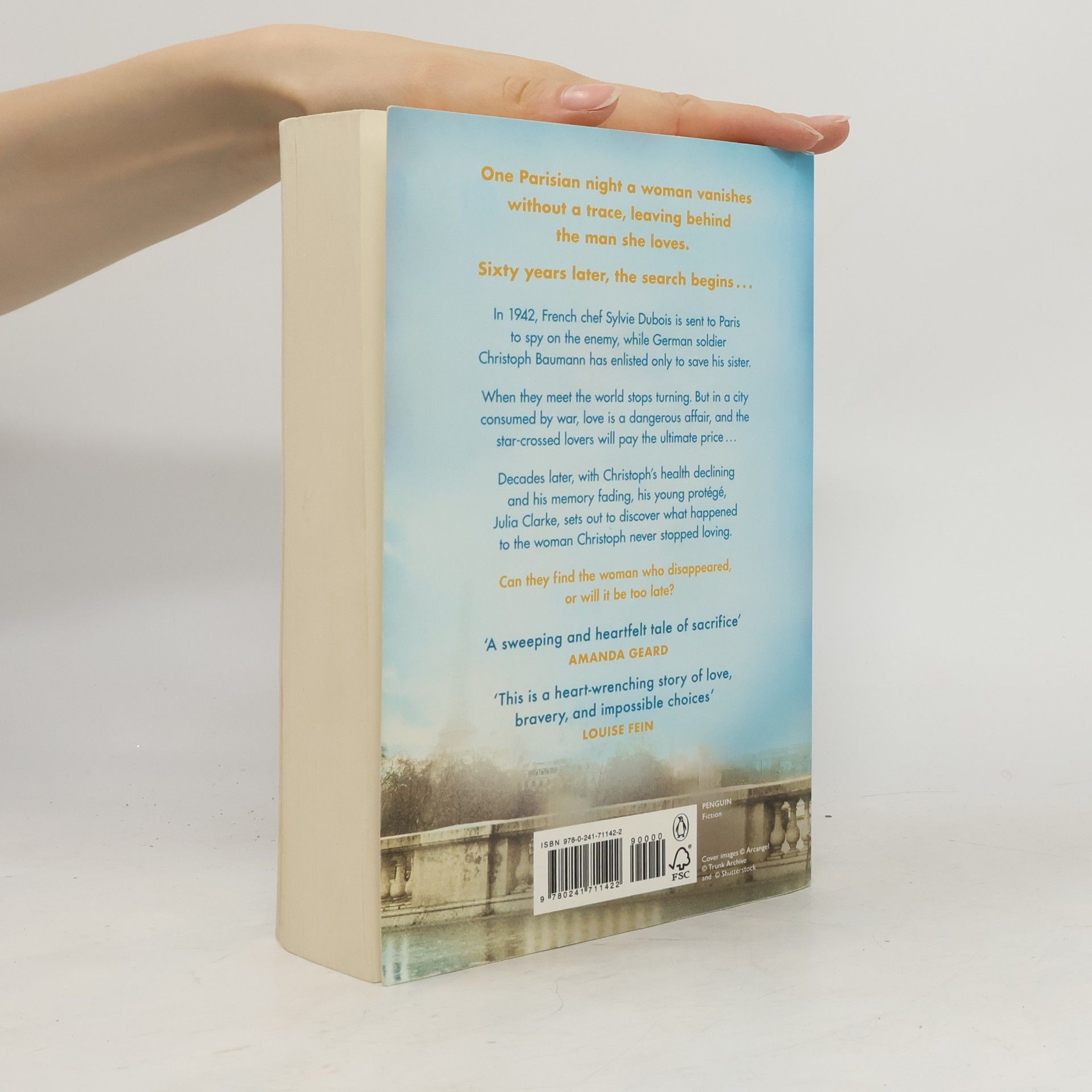 Fiona Schneider The Paris Affair