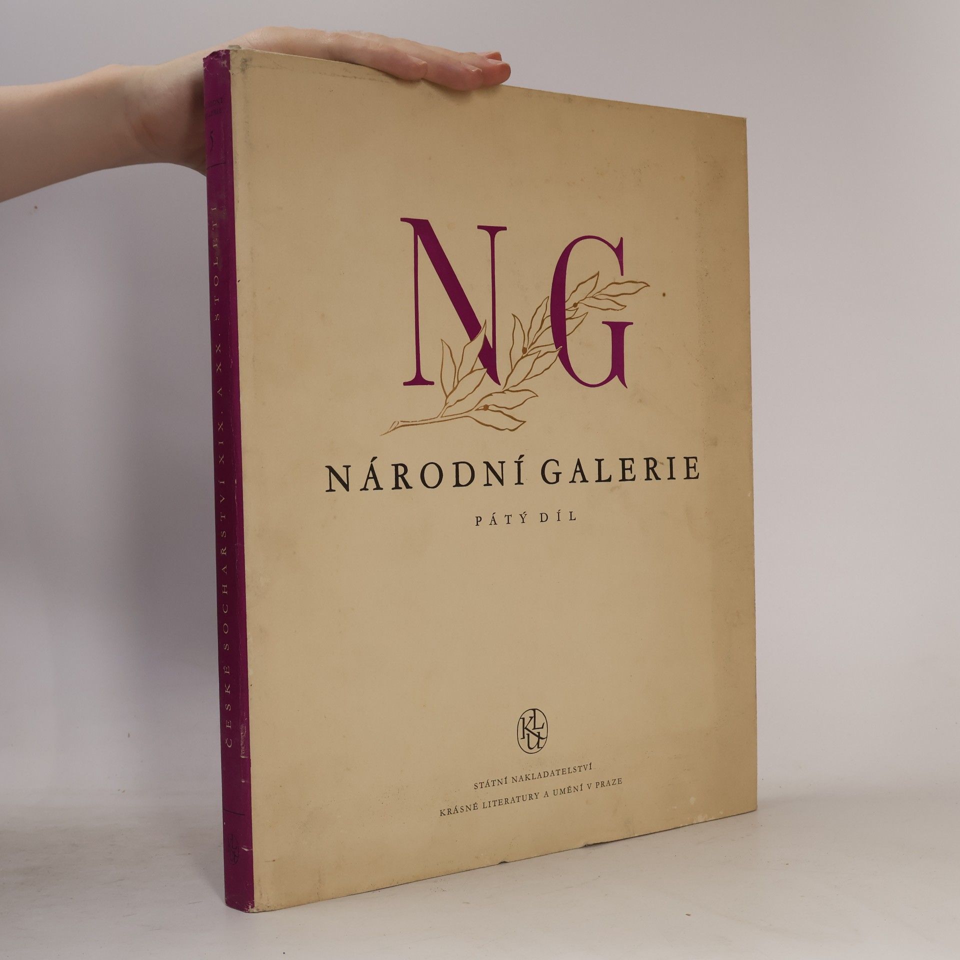 Kolektiv autorů Narodní galerie - České sochařství XIX.-XX. století (V. díl)