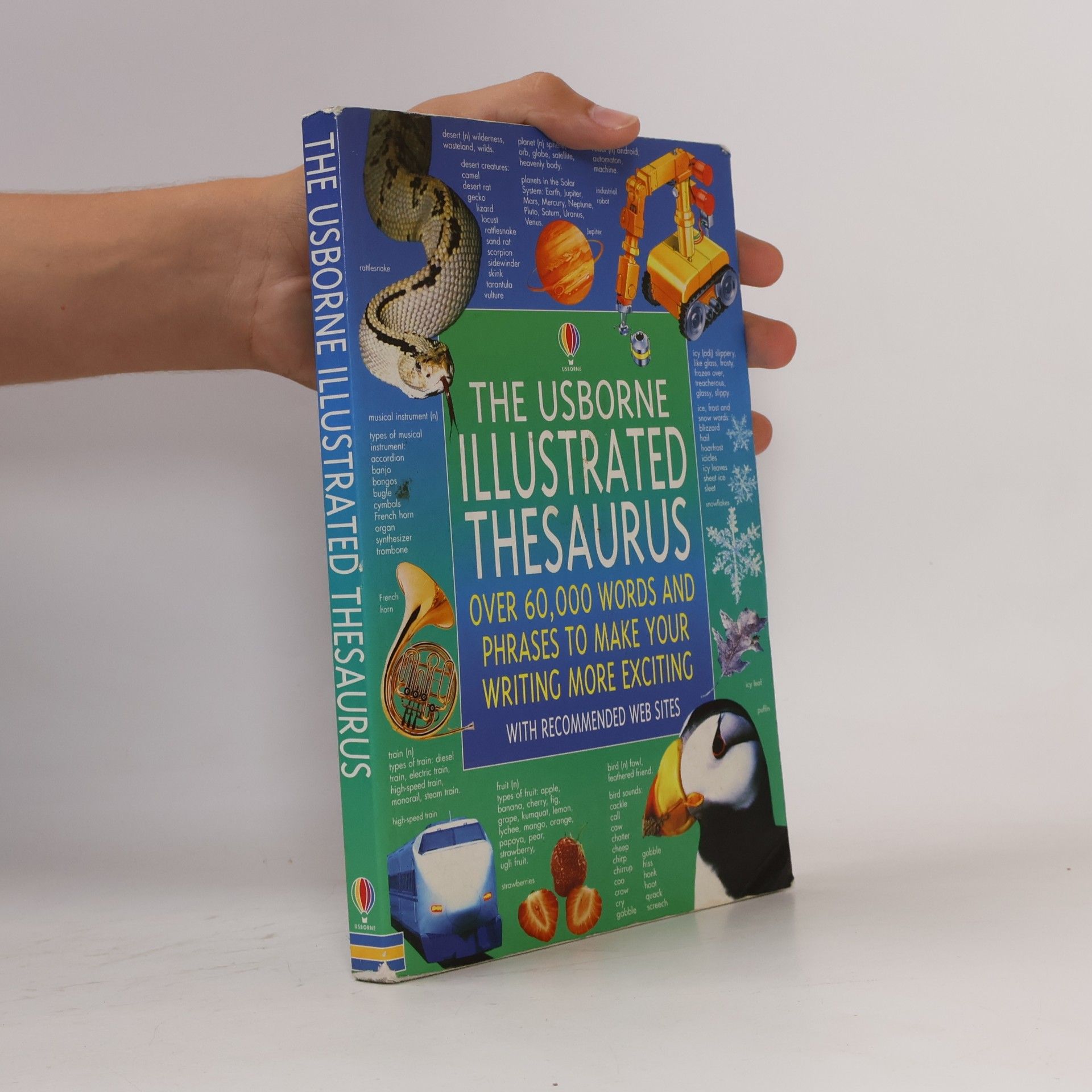 Jane Bingham Usborne Illustrated Dictionaries: The Usborne Illustrated Thesaurus