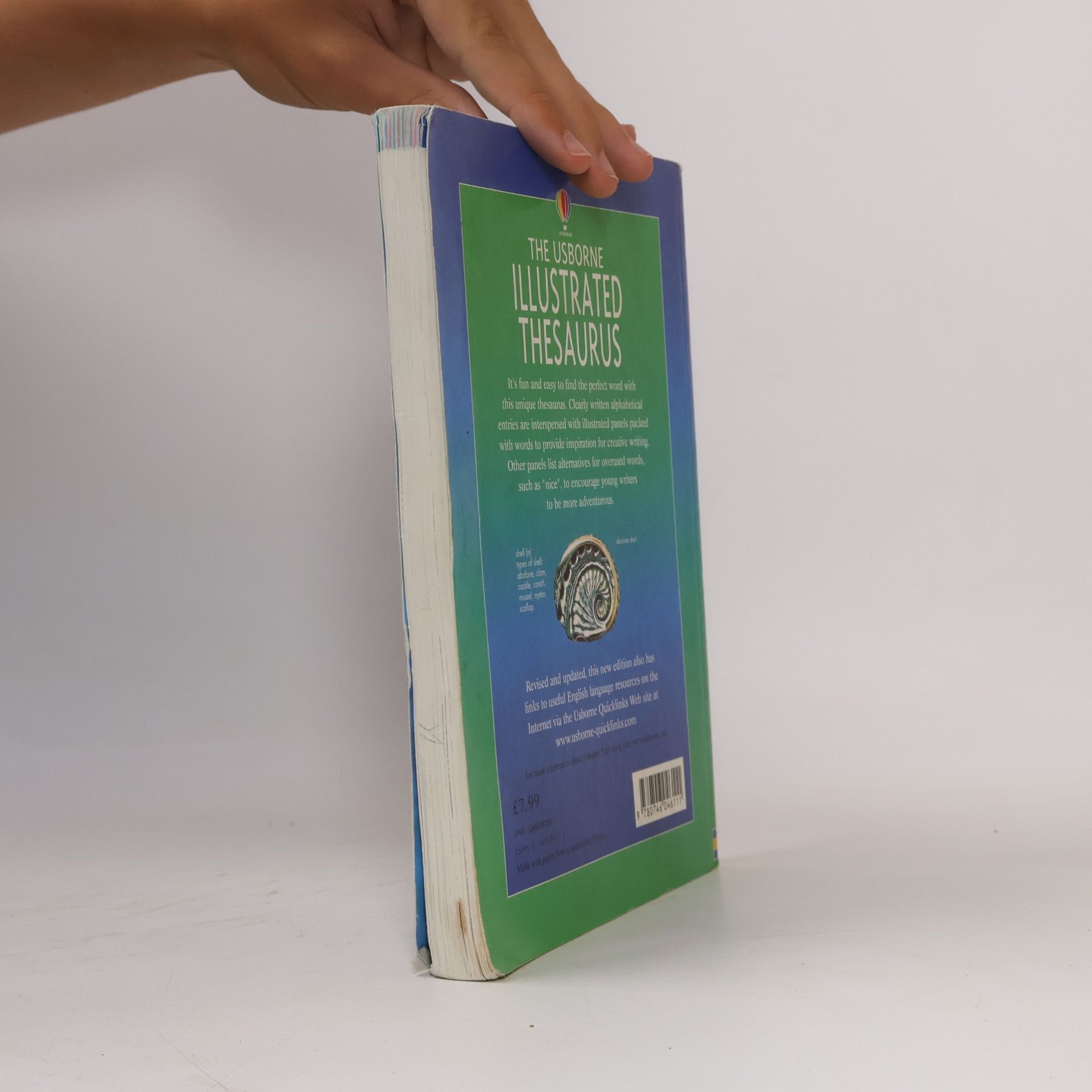 Jane Bingham Usborne Illustrated Dictionaries: The Usborne Illustrated Thesaurus