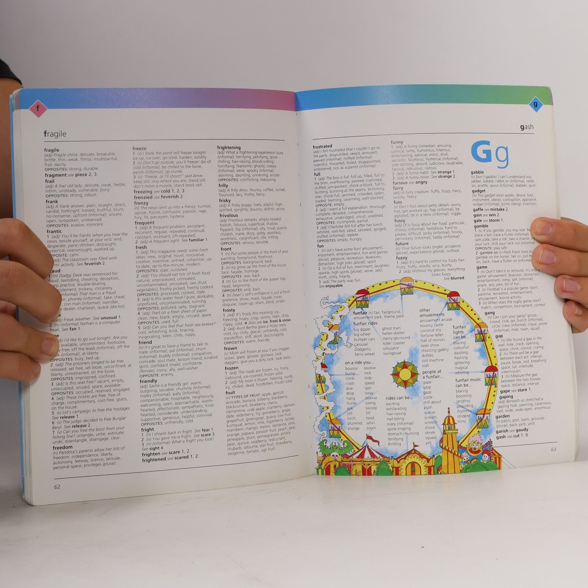 Jane Bingham Usborne Illustrated Dictionaries: The Usborne Illustrated Thesaurus