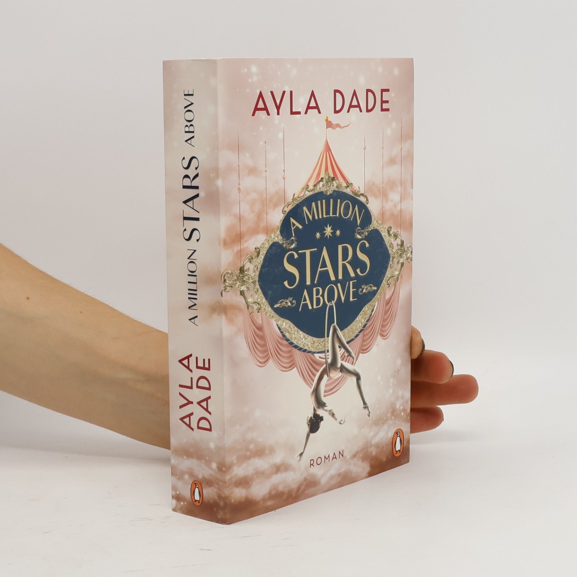 Ayla Dade A Million Stars Above / Sky Circus Bd.1