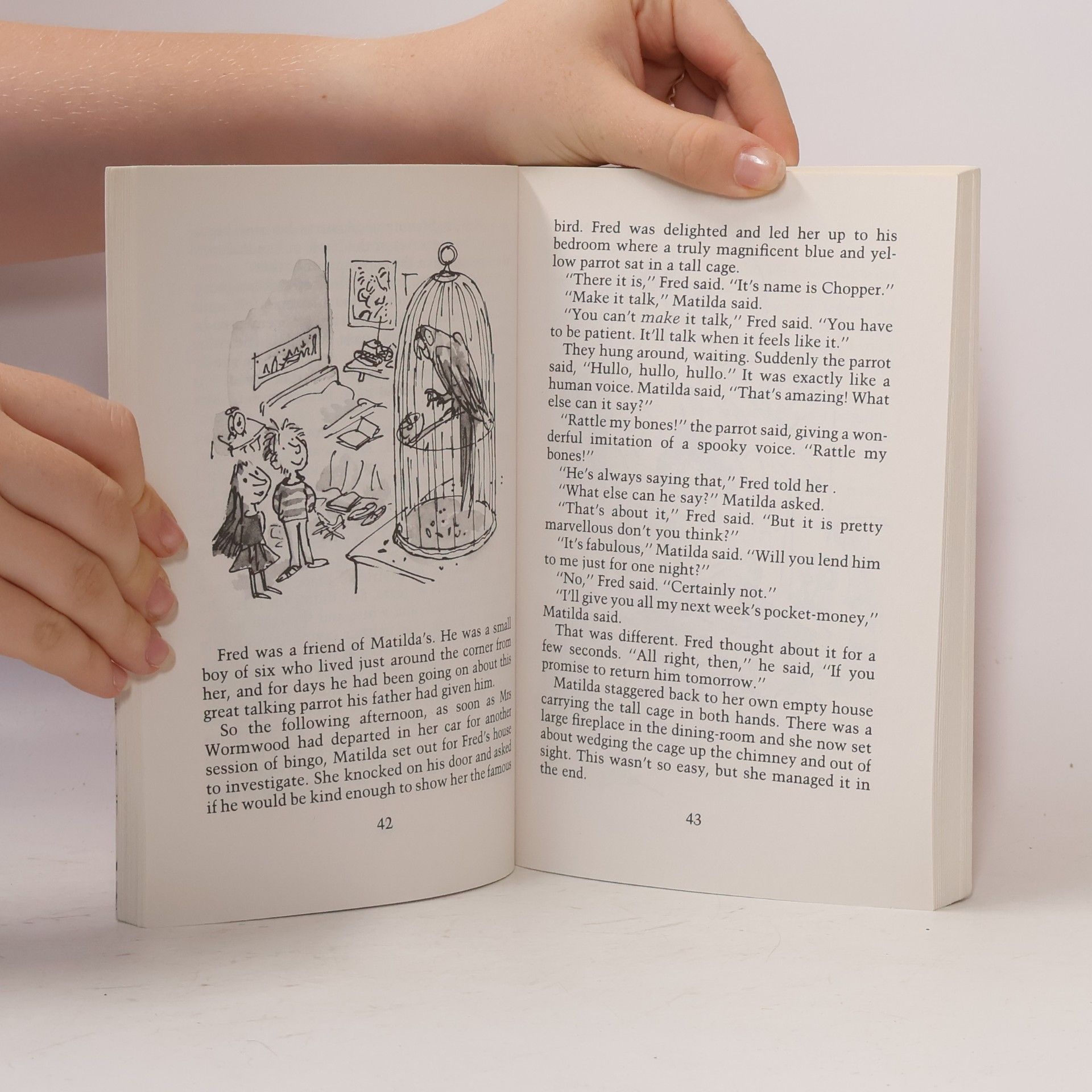 Roald Dahl Matilda