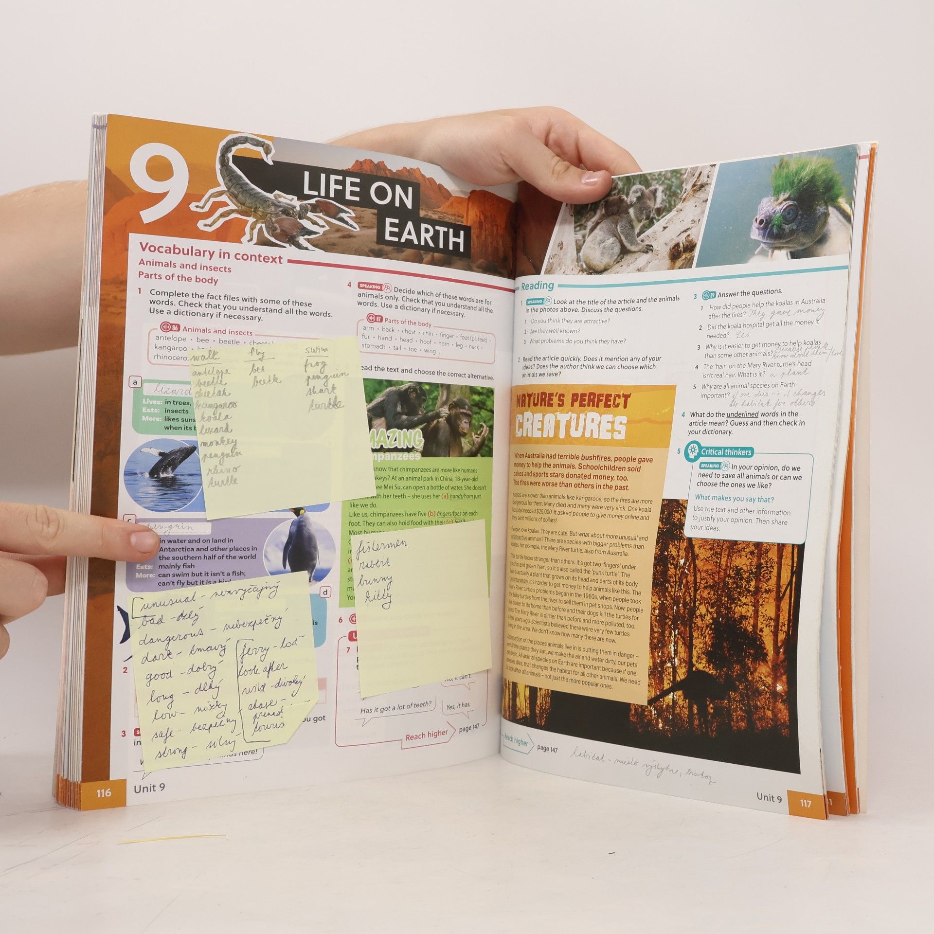 David Spencer Gateway to the World A1+ Student's Book + Online