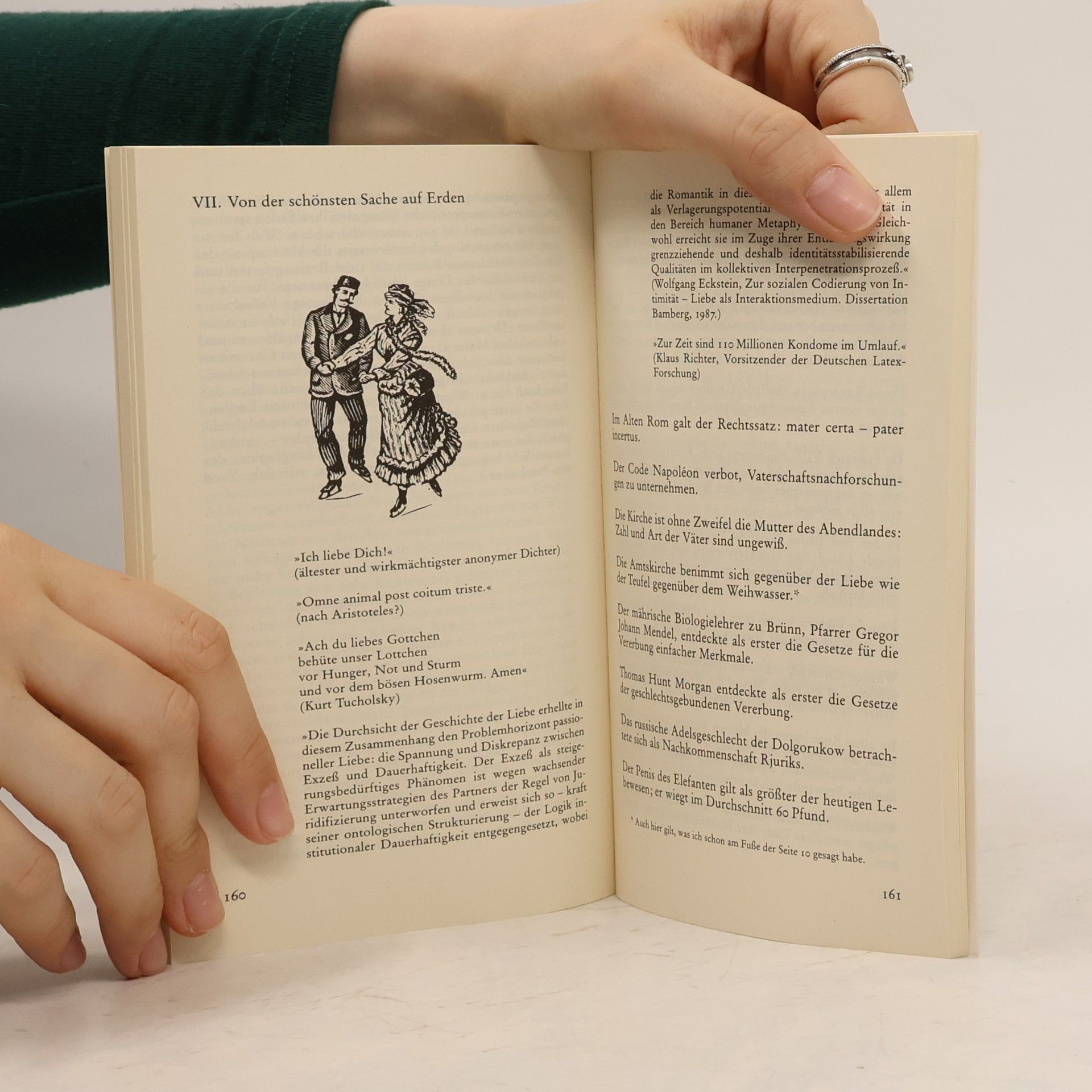 Hanswilhelm Haefs Das ... Handbuch des nutzlosen Wissens