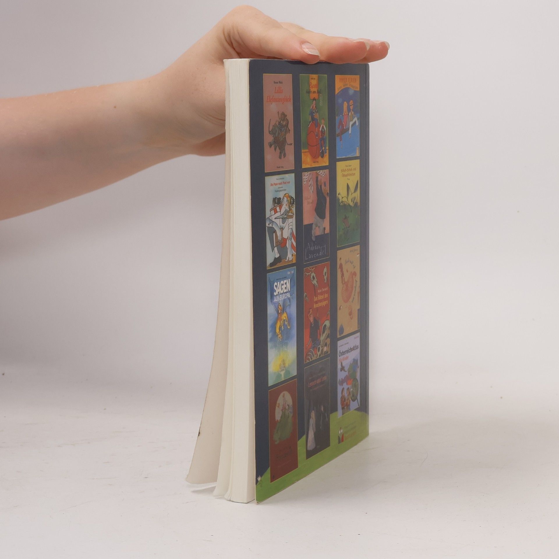 Autorenkollektiv Andersentag Buch 2006