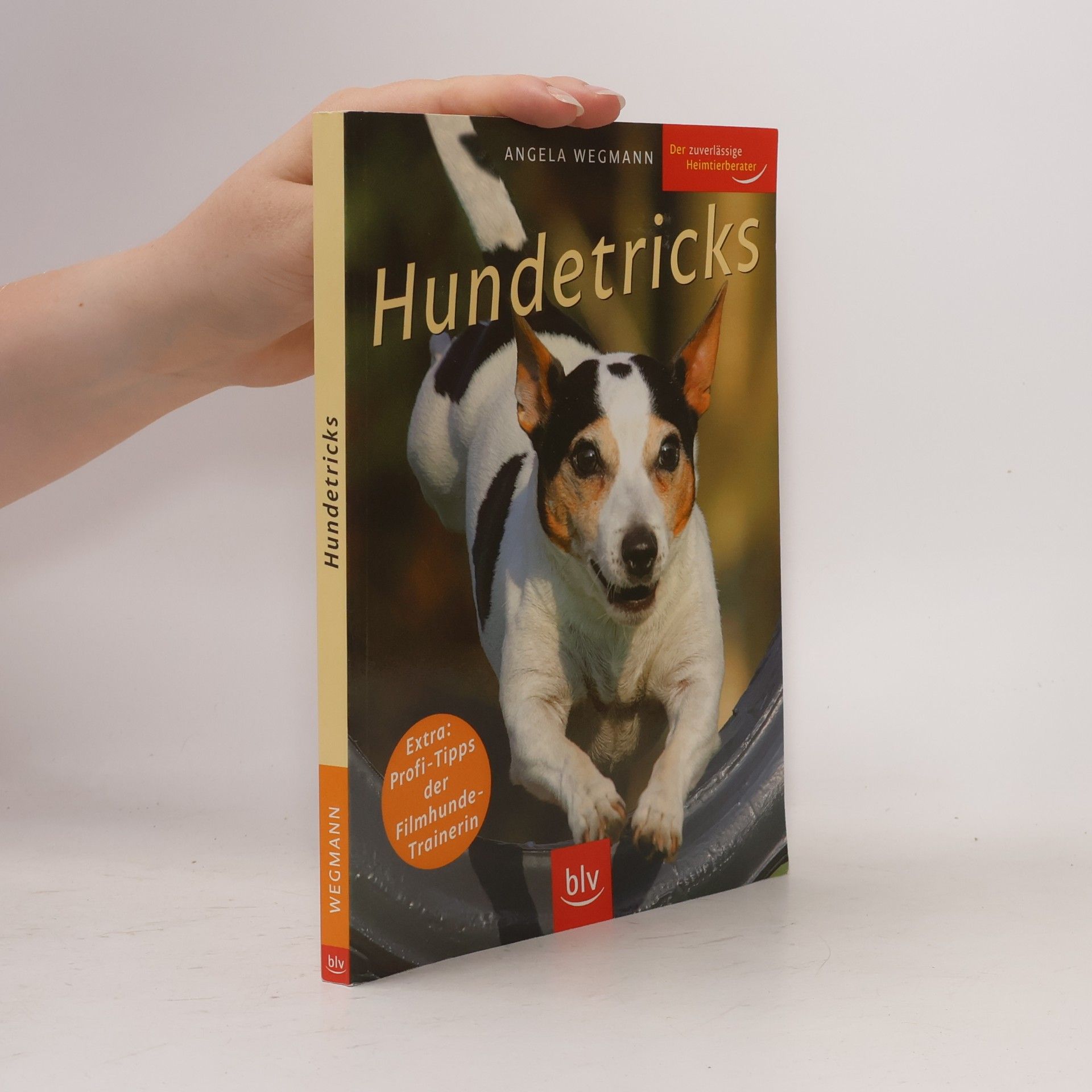 Angela Wegmann Hundetricks