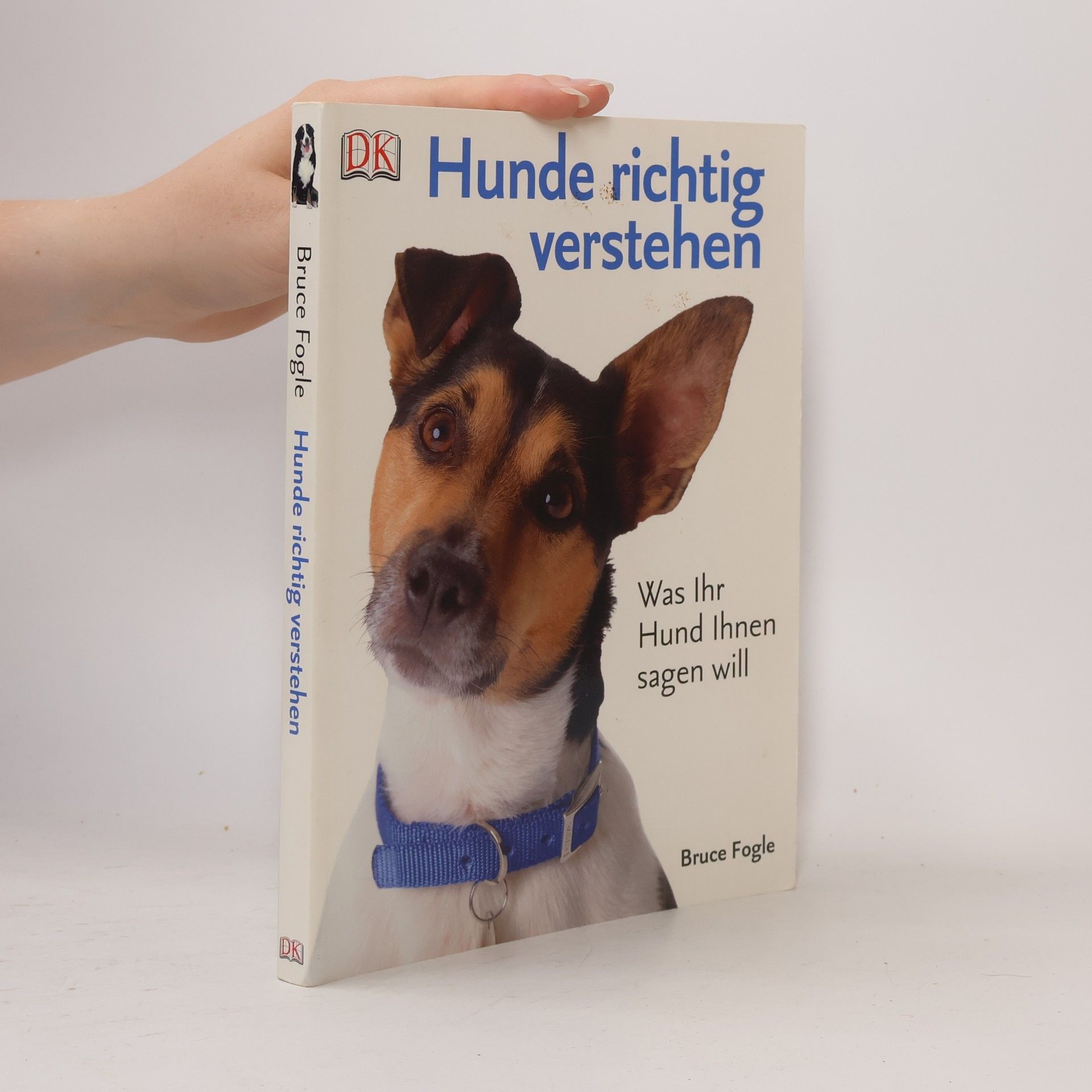 Hunde richtig verstehen