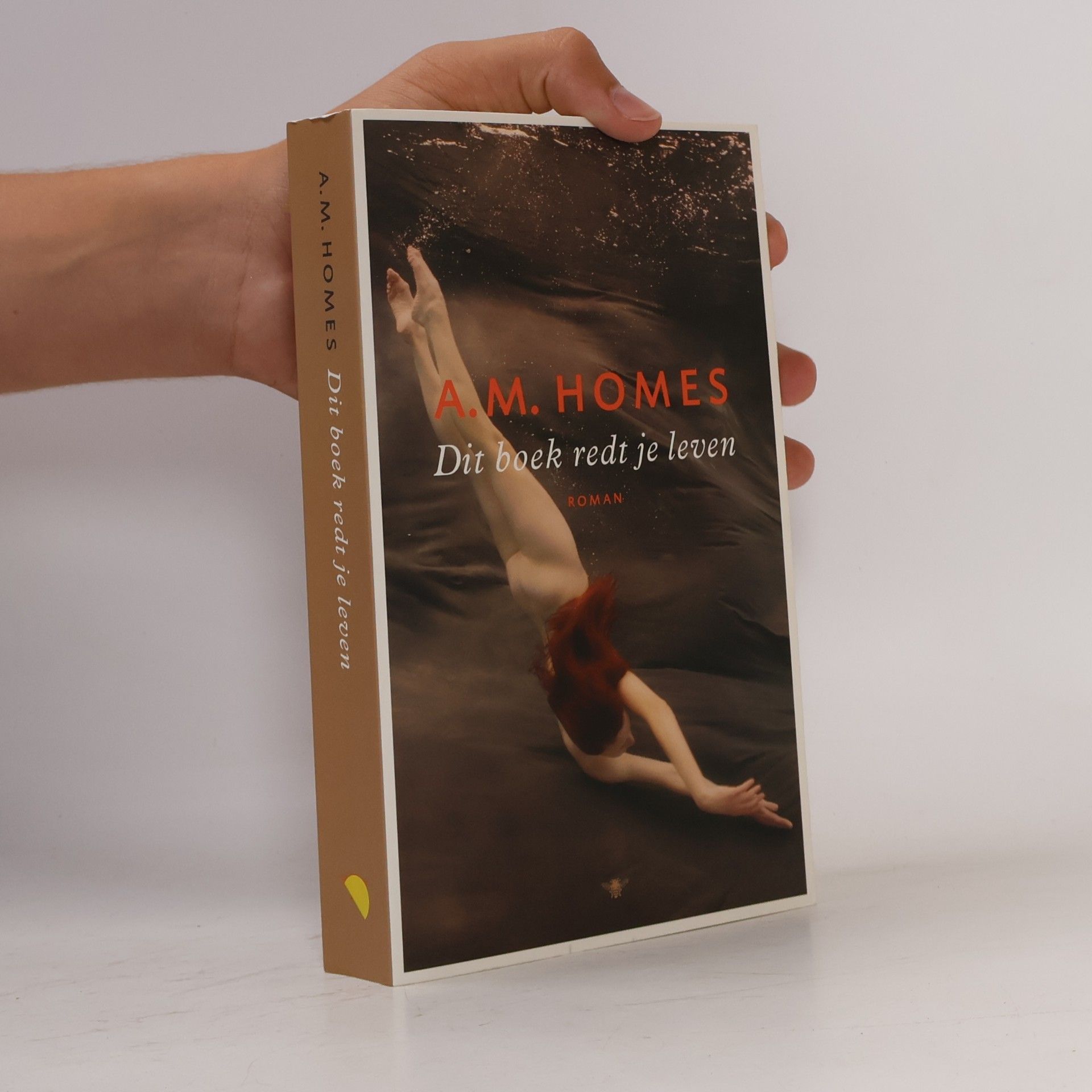 A. M. Homes Dit boek redt je leven