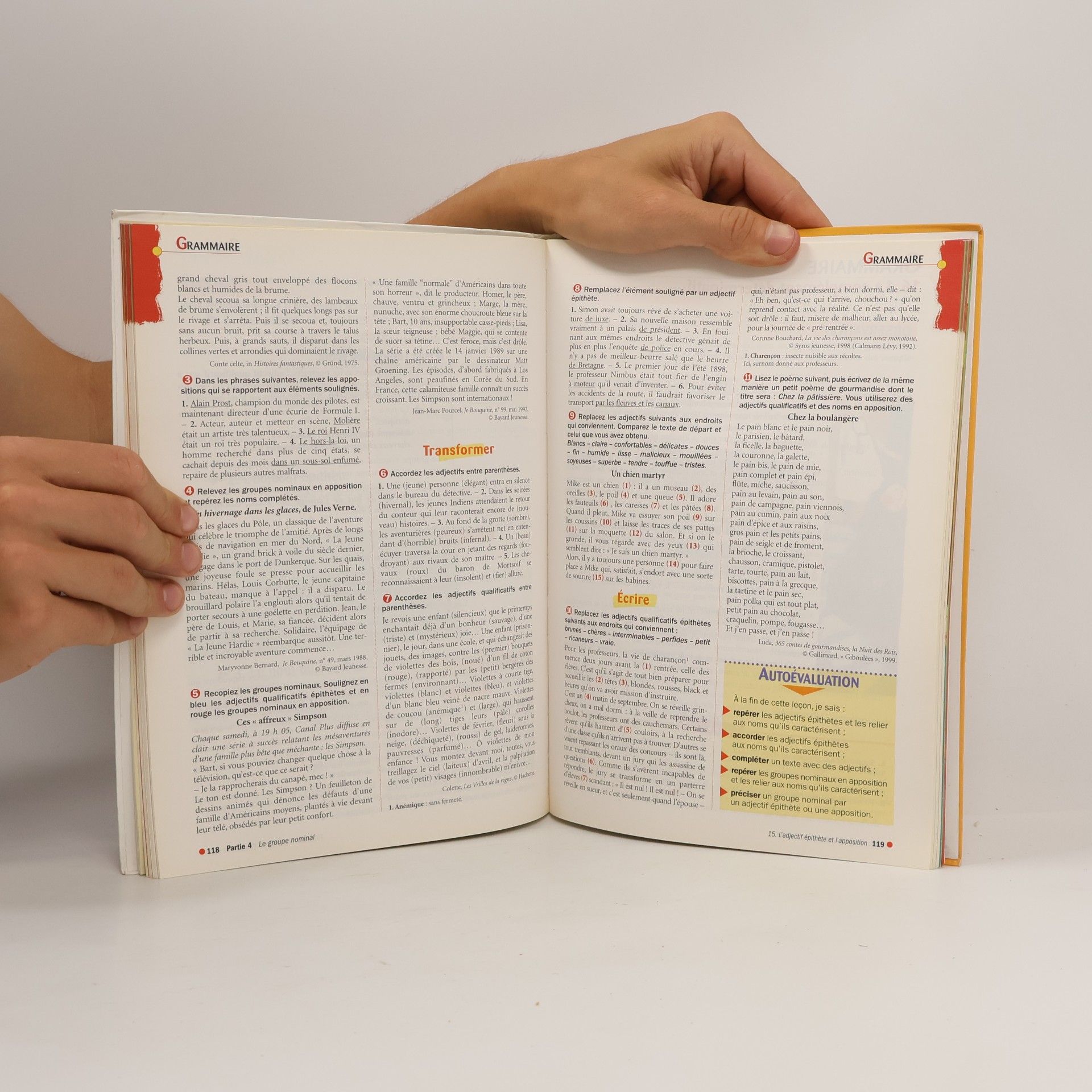 Cécile de Cazanove Grammaire et expression français nouvelle édition