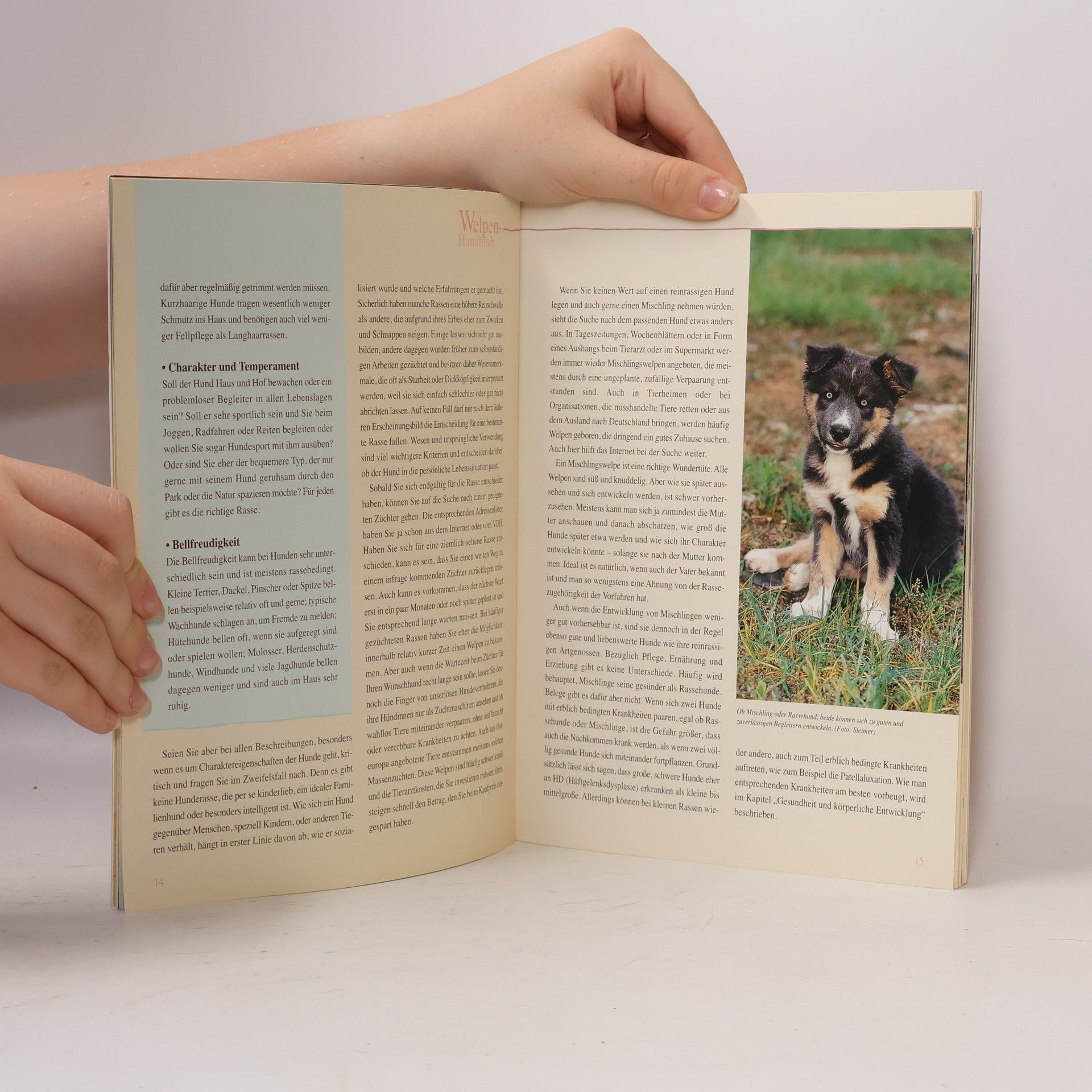 Gabriele Koldic Das Welpen-Handbuch