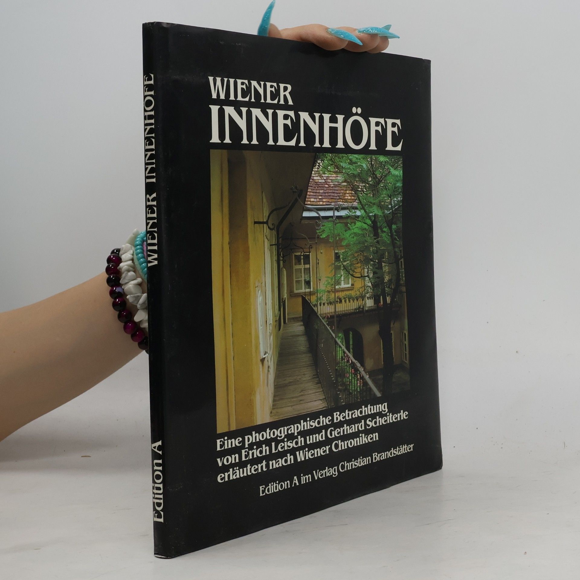 Verlag Christian Brandstätter Wiener Innenhöfe