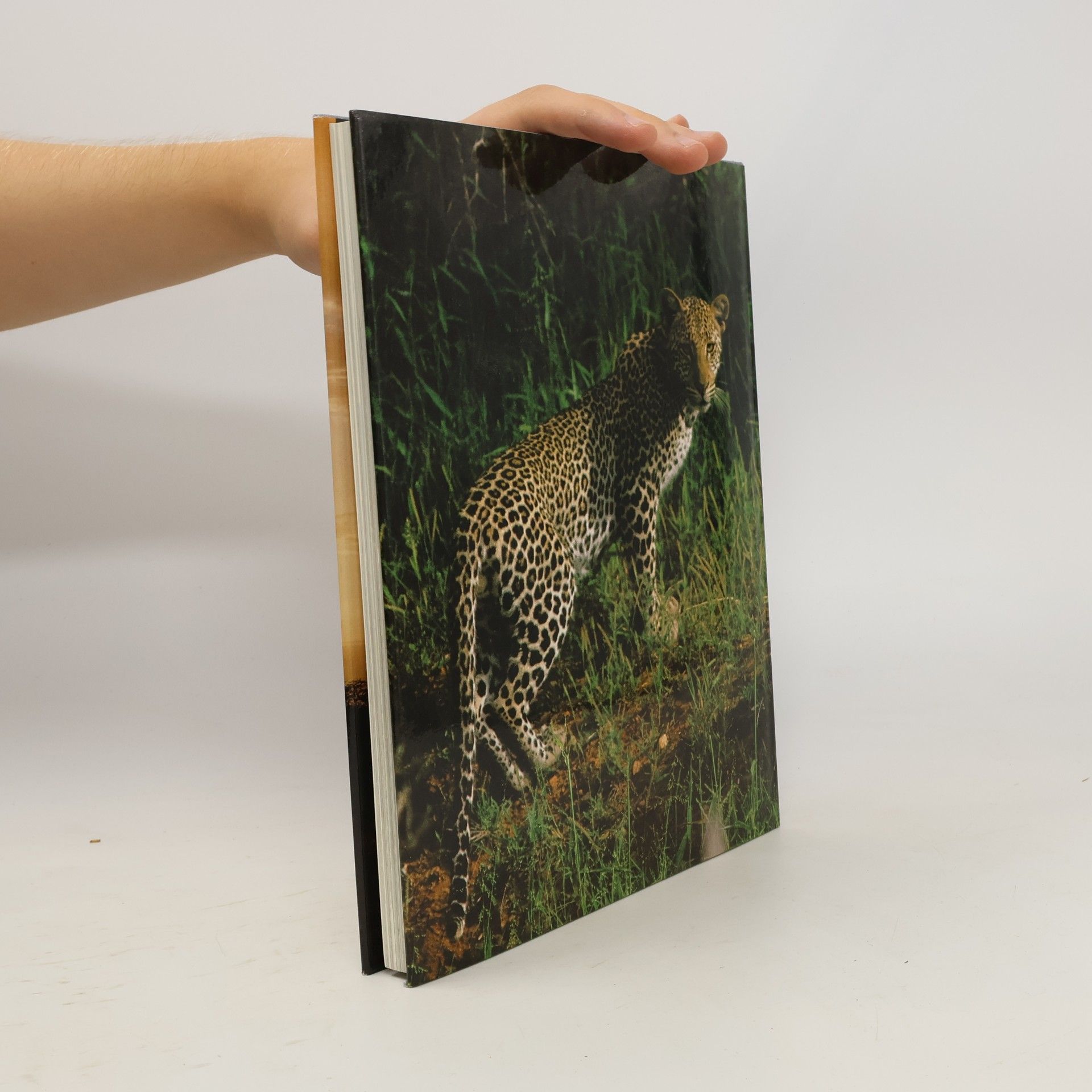 Herbert Tichy Traumland Kenia