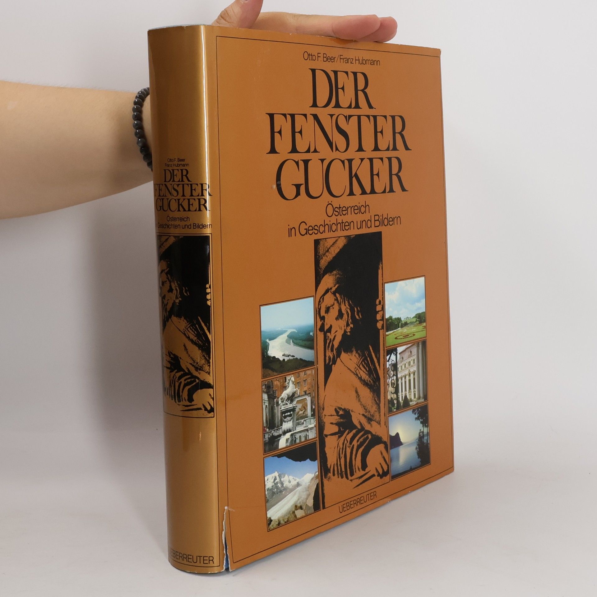 Otto F. Beer Der Fenstergucker
