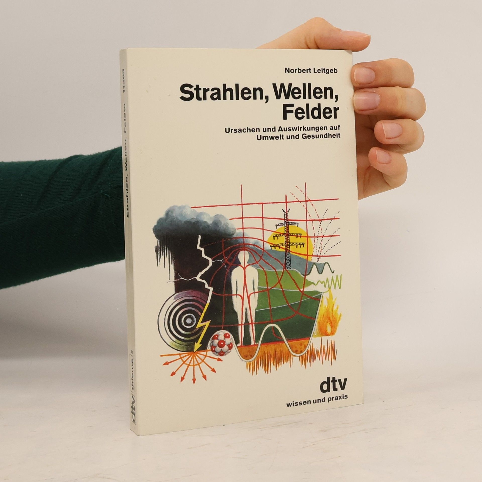 Strahlen, Wellen, Felder