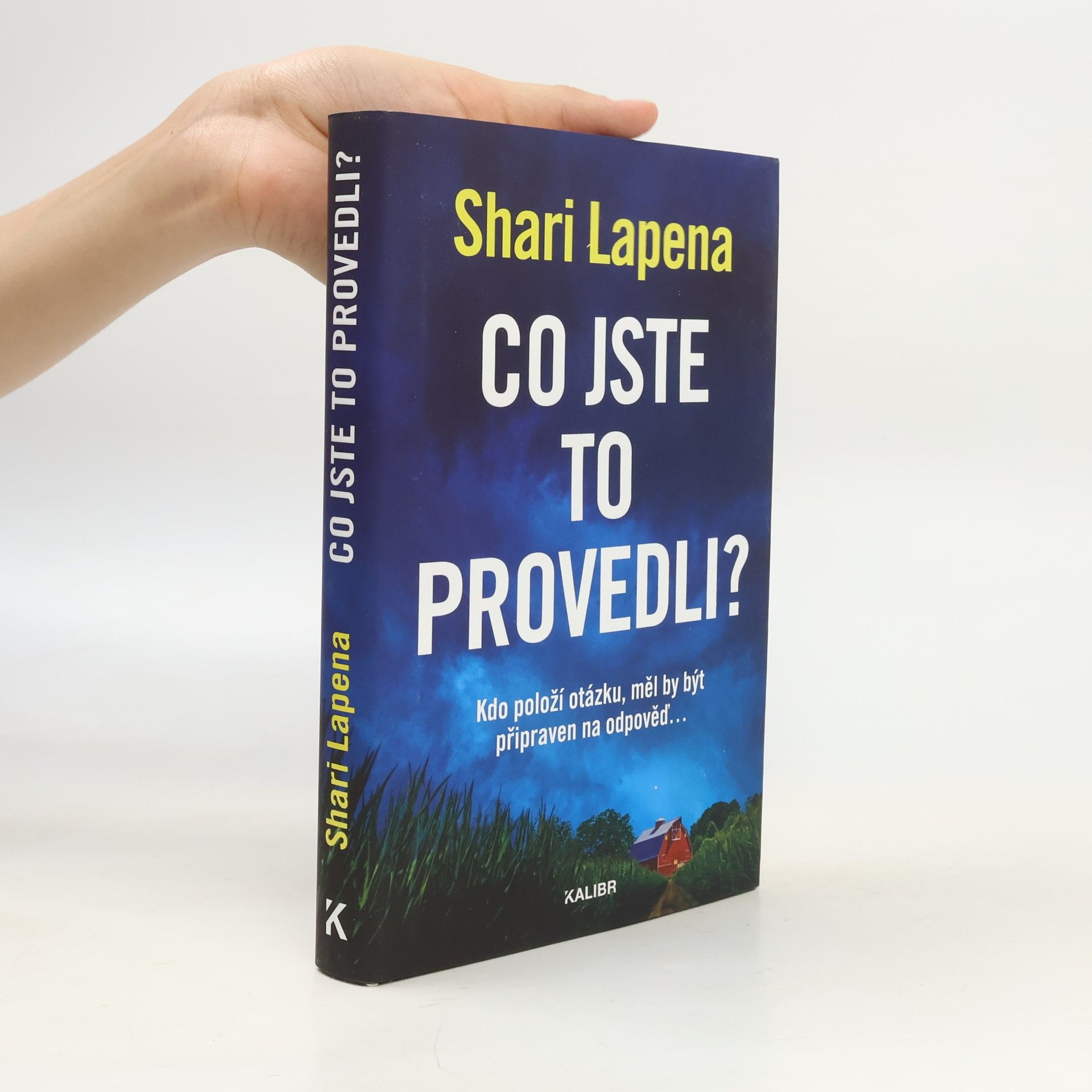 Shari Lapena Co jste to provedli?