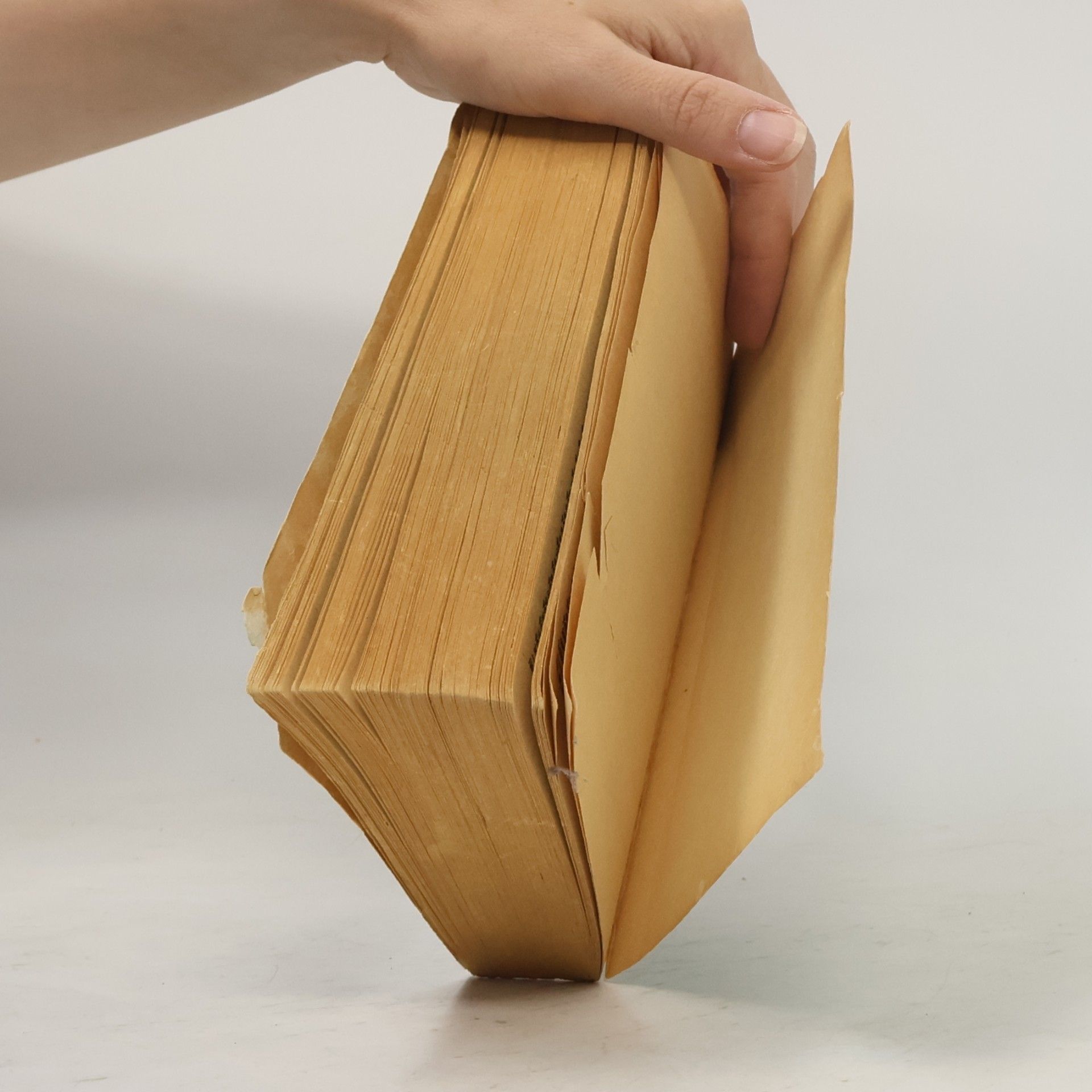 R. F. Patterson English Dictionary