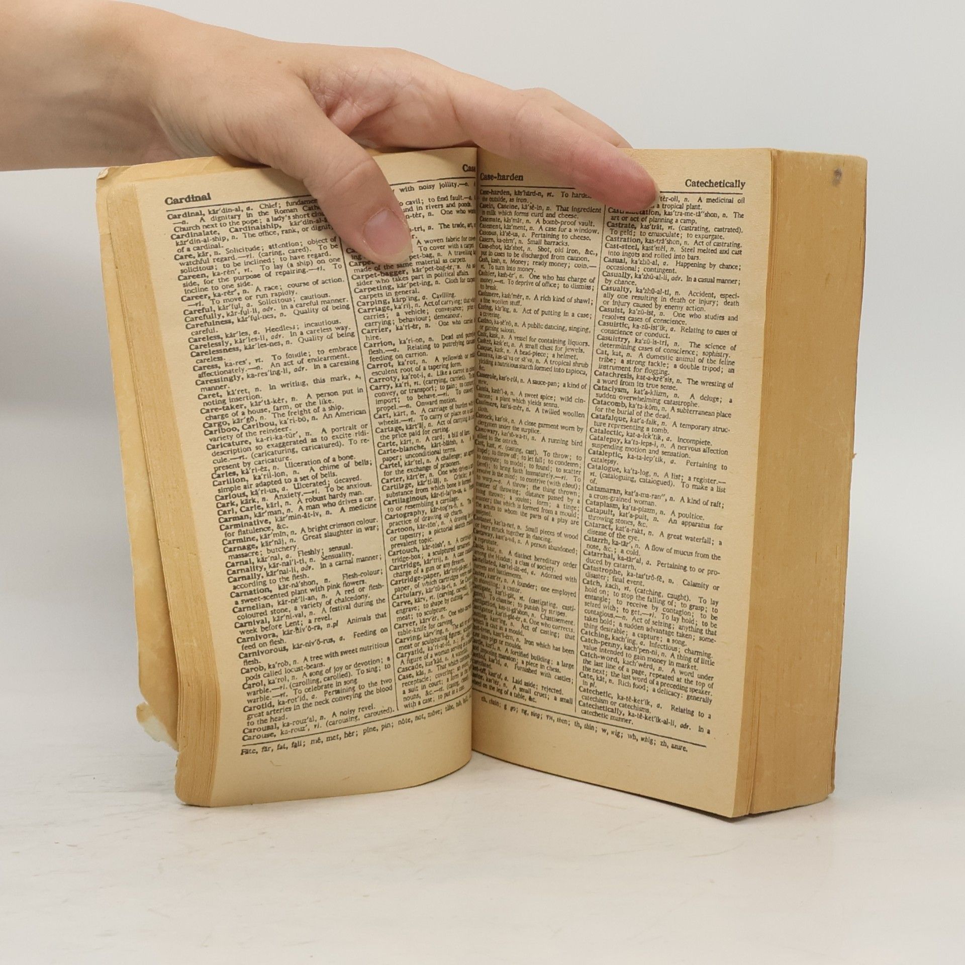 R. F. Patterson English Dictionary