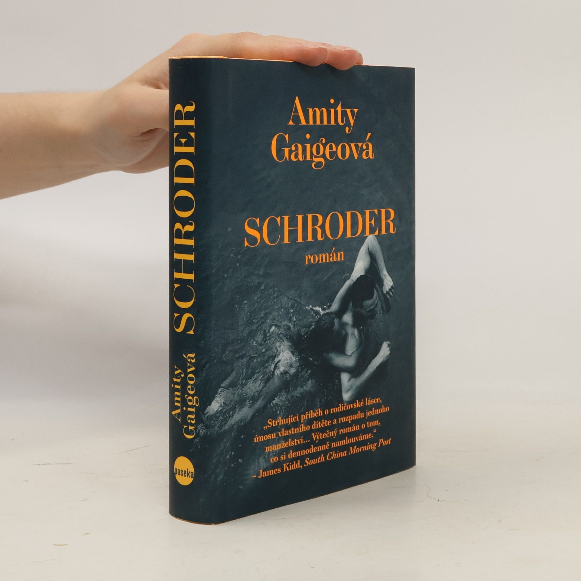 Amity Gaige Schroder