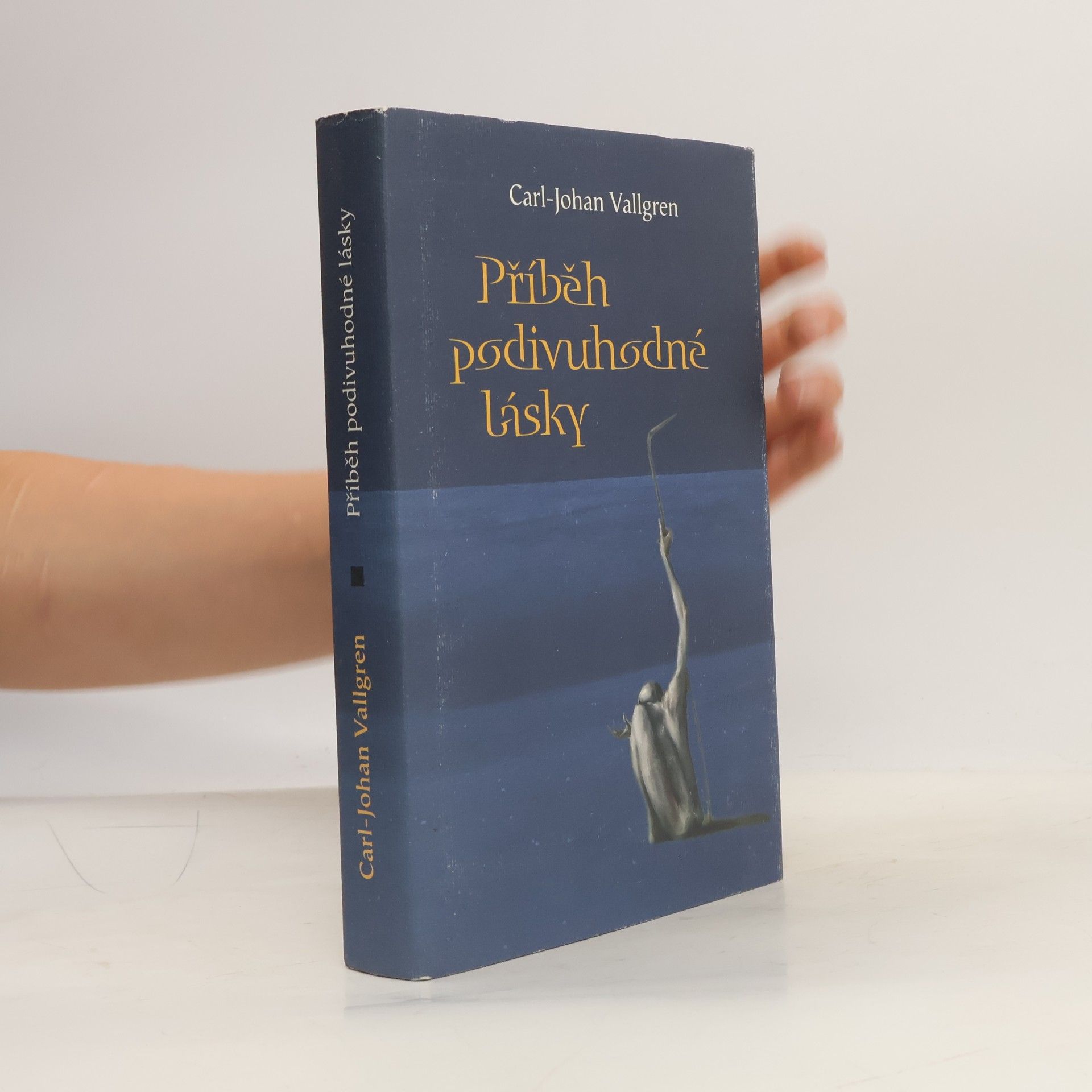 Carl Johan Vallgren Příběh podivuhodné lásky