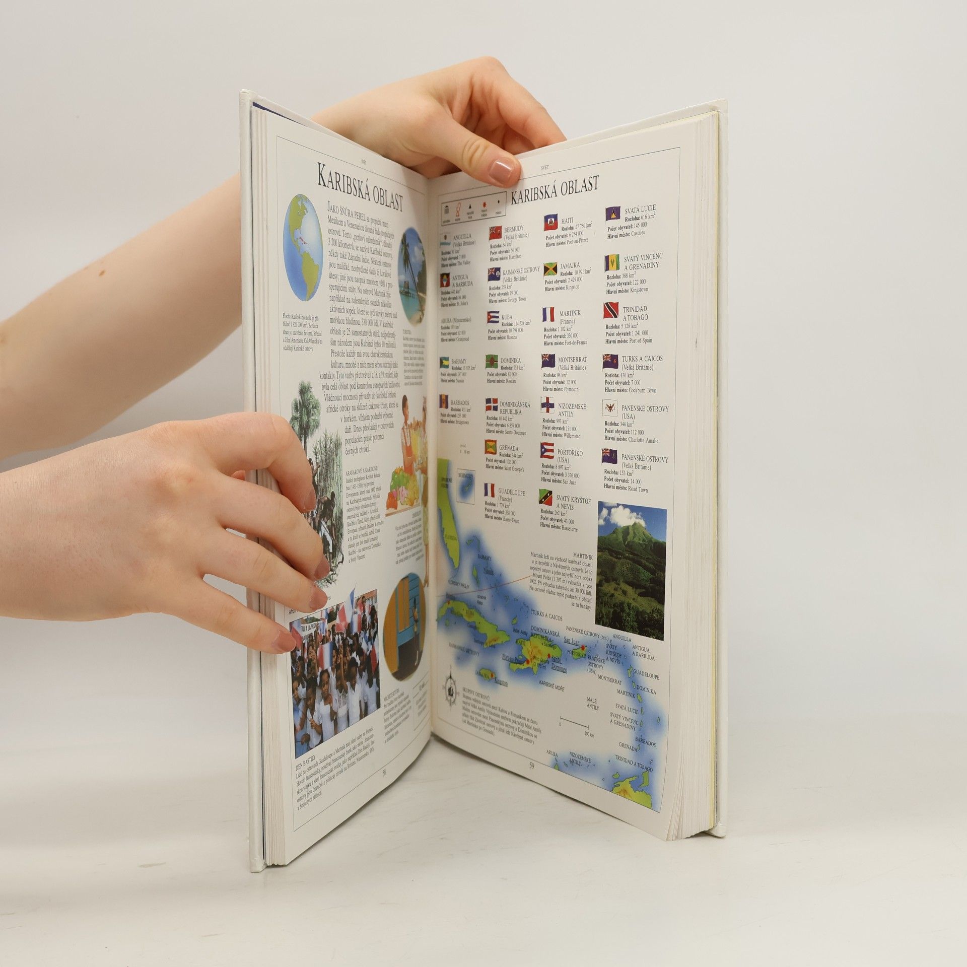 Various authors Dětská ilustrovaná encyklopedie IV. Svět kolem nás