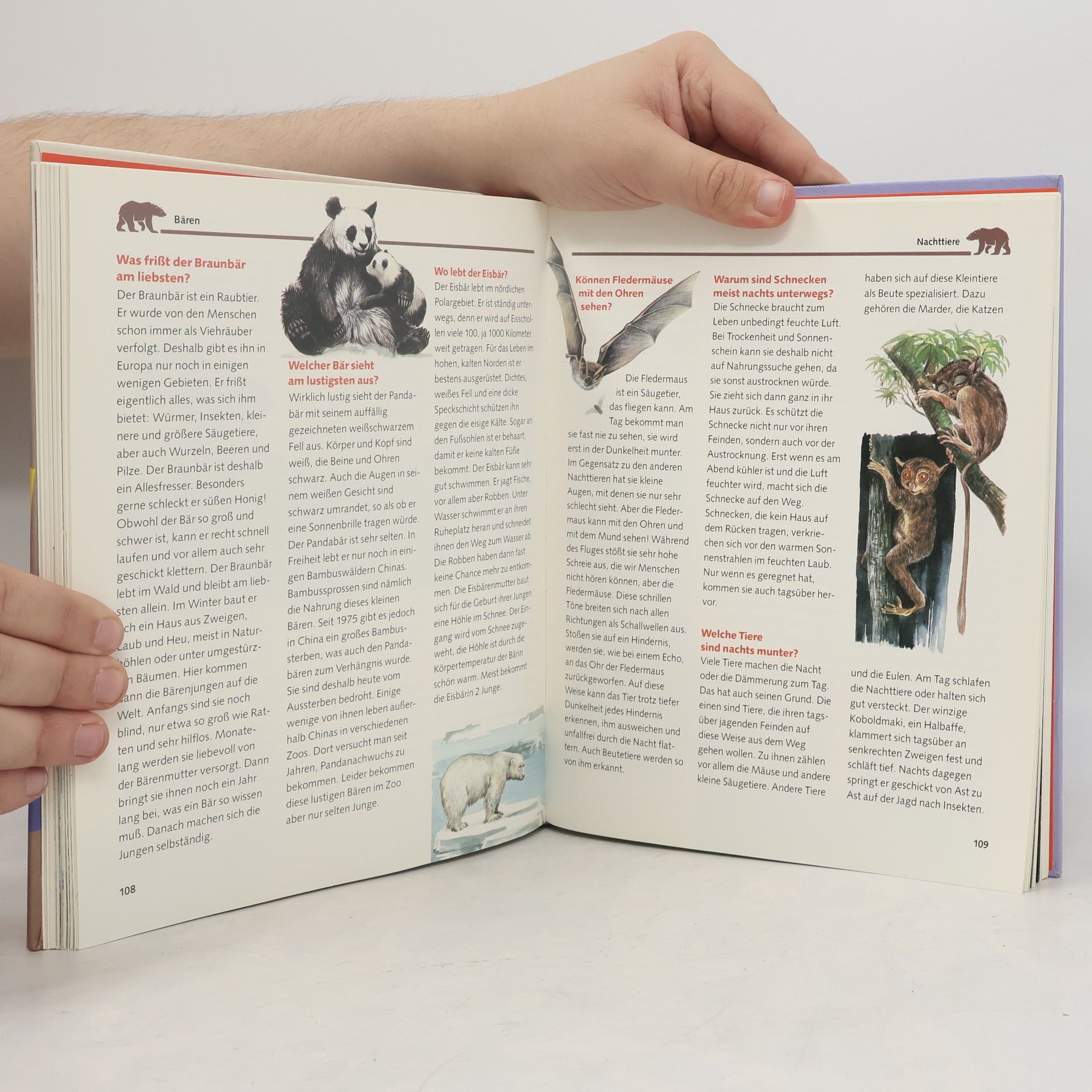 Kolektiv autorů Das grosse Buch der Antworten auf Kinderfragen