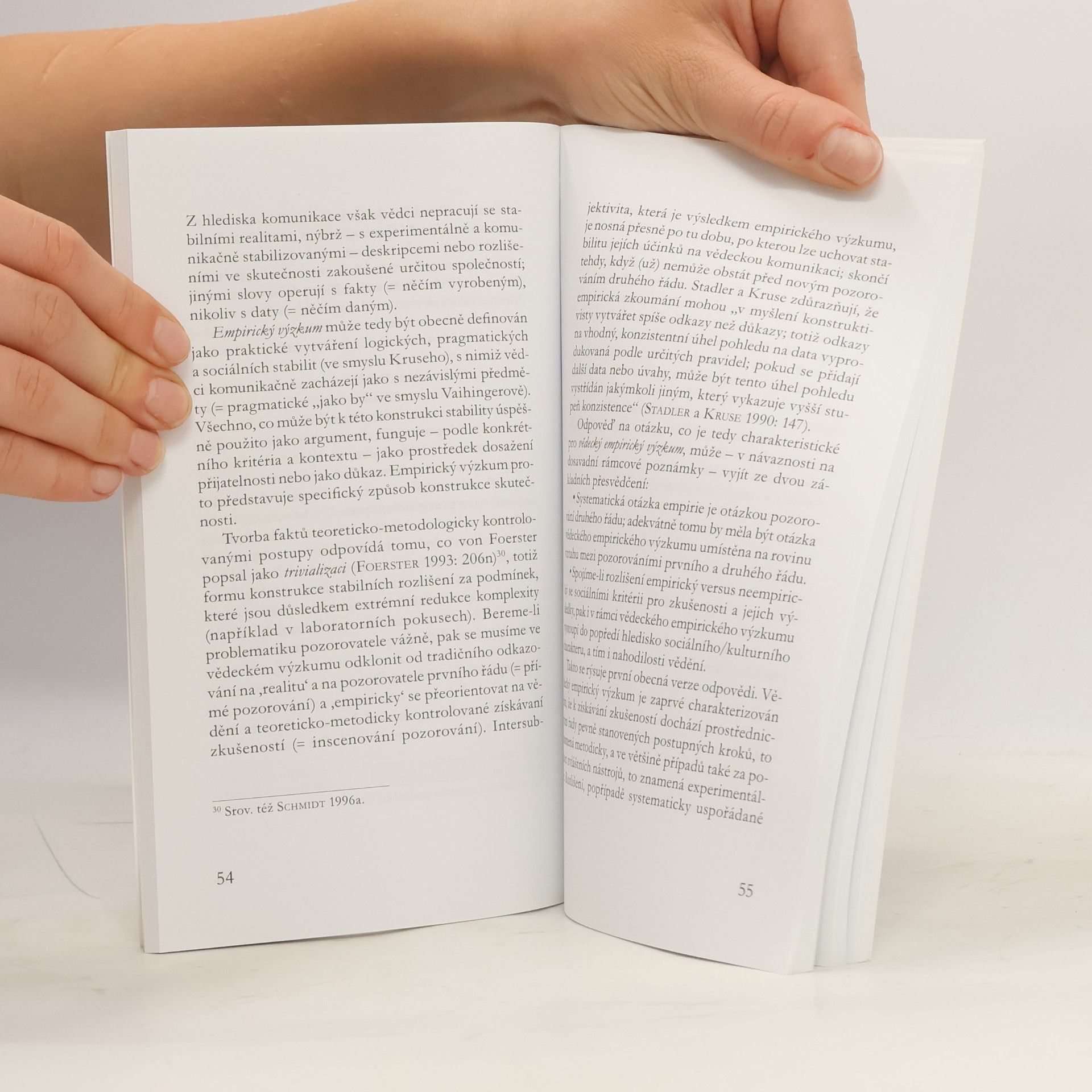 Schmidt Siegfried Přesahování literatury