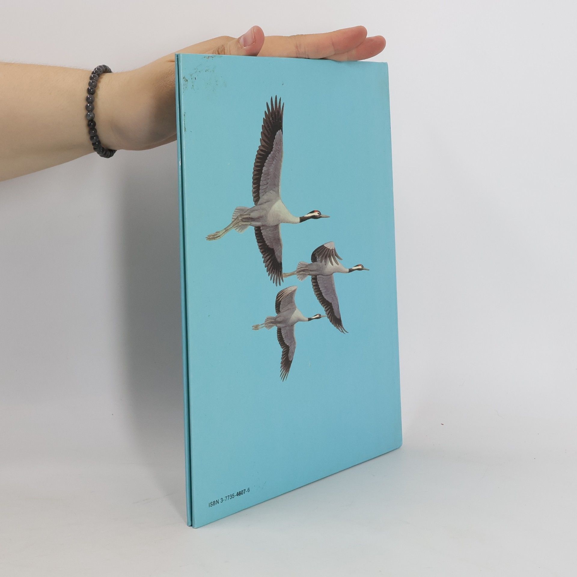 Jim Hicks Mehr Wissen über Vögel