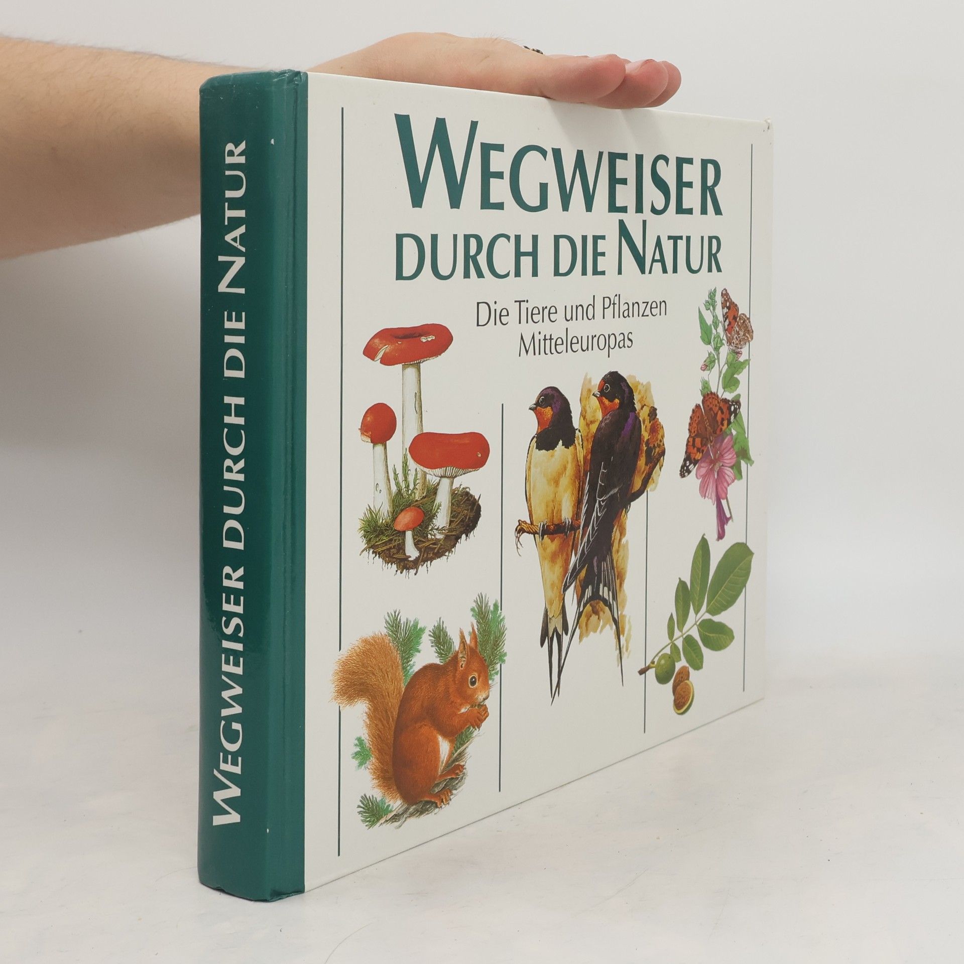 Autorenkollektiv Wegweiser durch die Natur. Die Tiere und Pflanzen Mitteleuropas
