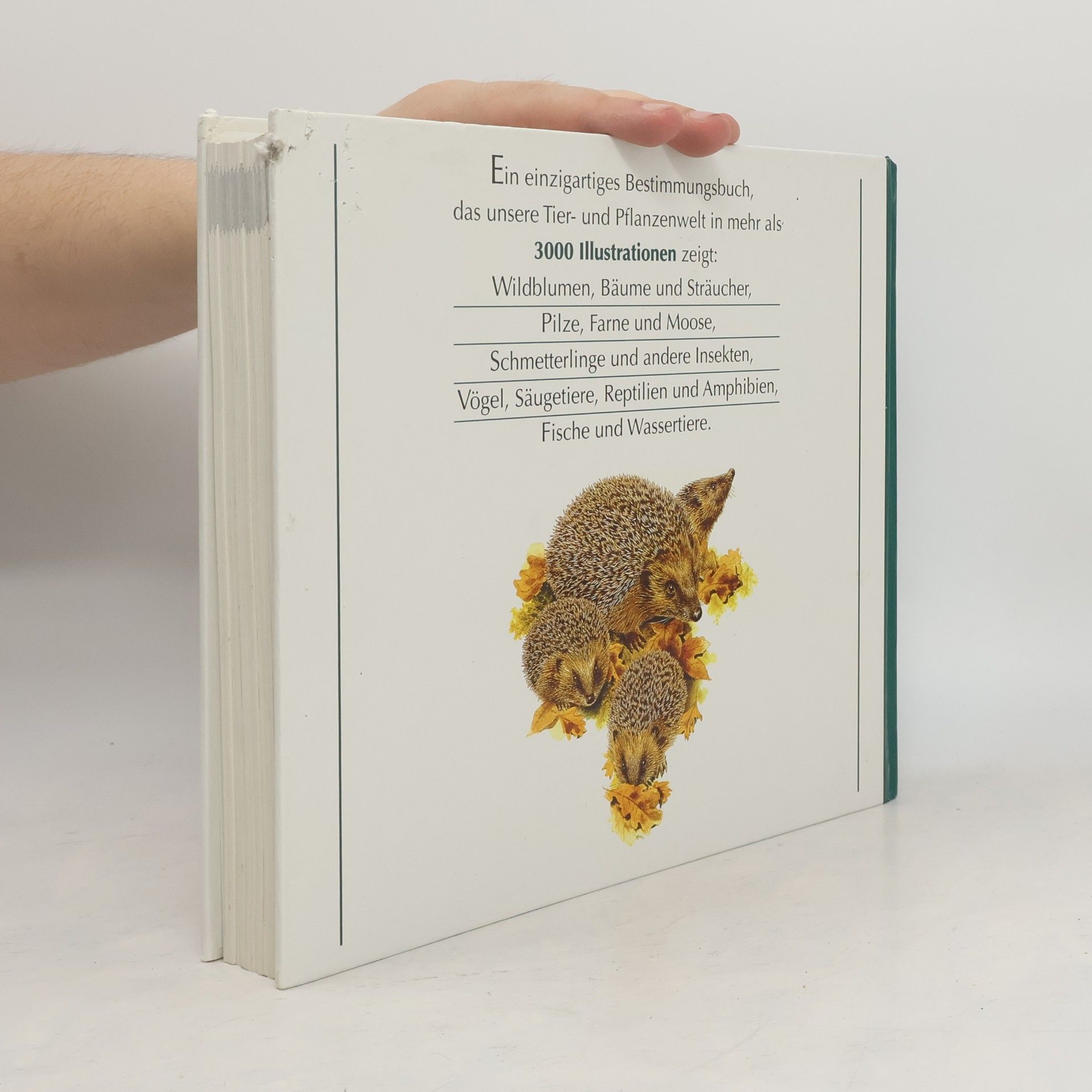 Autorenkollektiv Wegweiser durch die Natur. Die Tiere und Pflanzen Mitteleuropas
