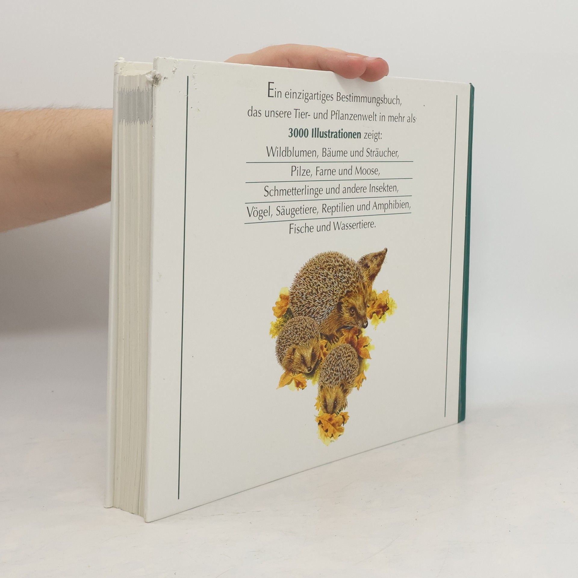 Autorenkollektiv Wegweiser durch die Natur. Die Tiere und Pflanzen Mitteleuropas