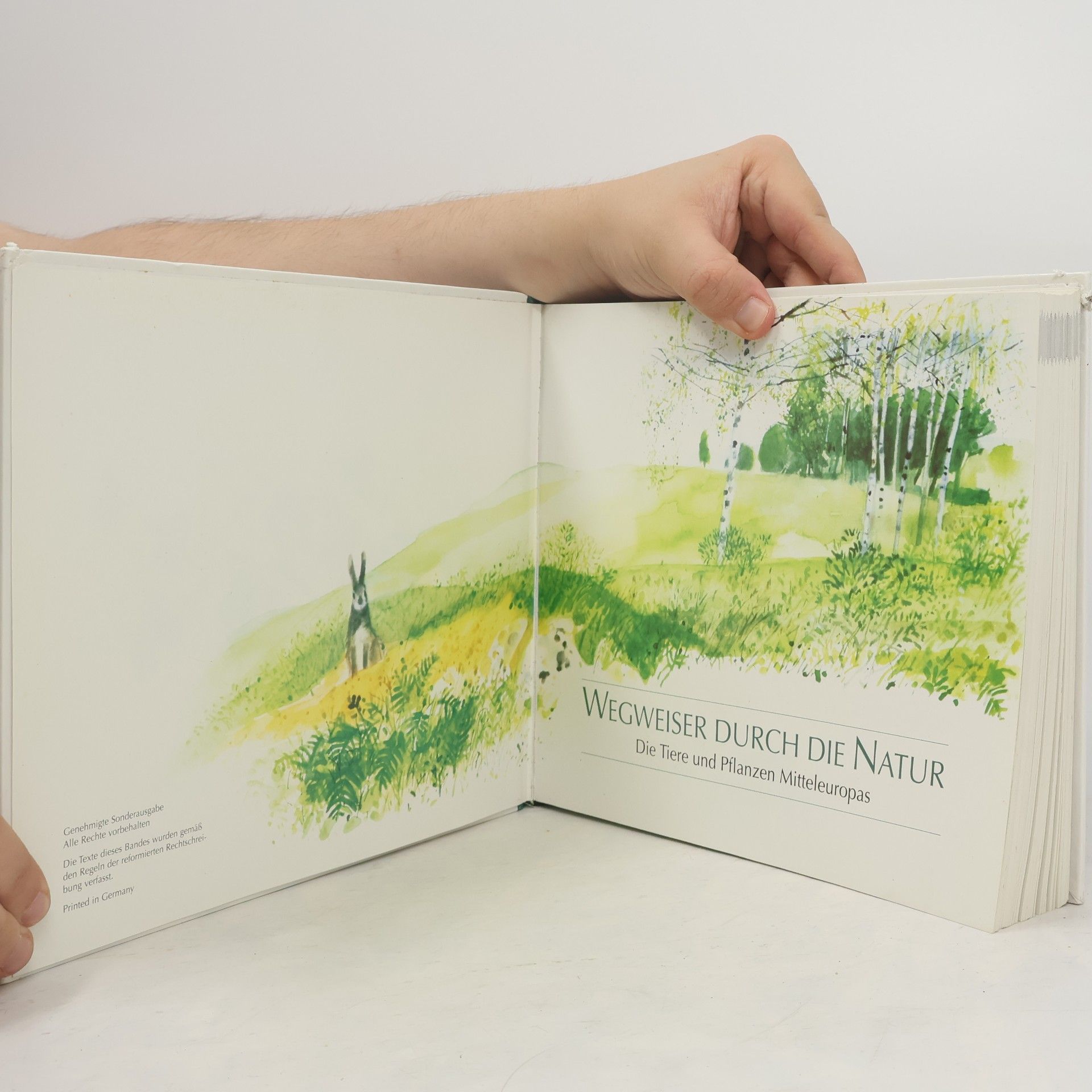 Autorenkollektiv Wegweiser durch die Natur. Die Tiere und Pflanzen Mitteleuropas