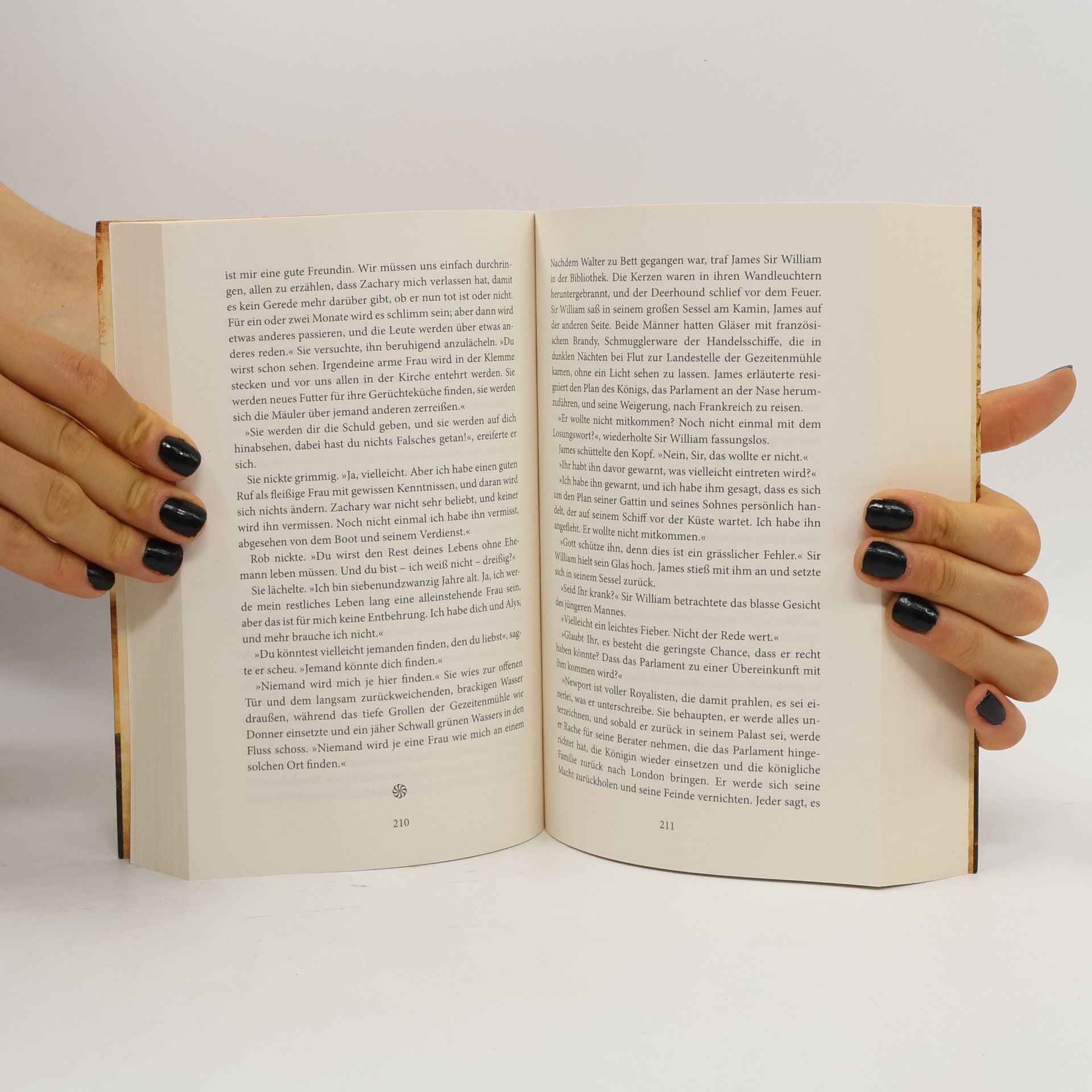 Philippa Gregory Gezeitenland