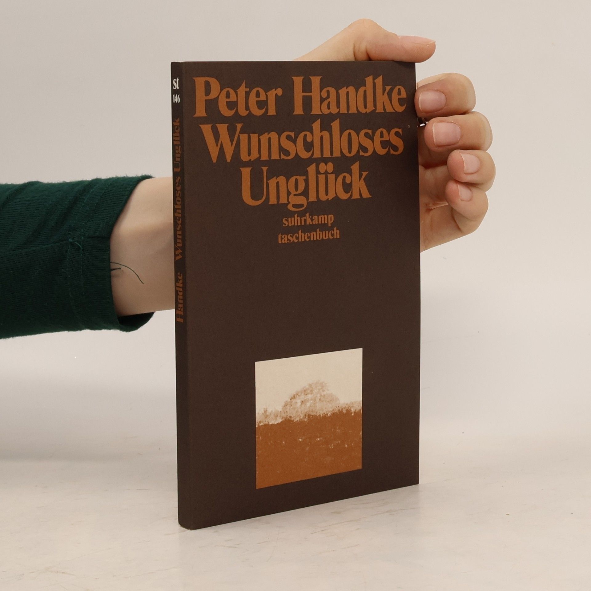 Peter Handke Wunschloses Unglück: Erzählung