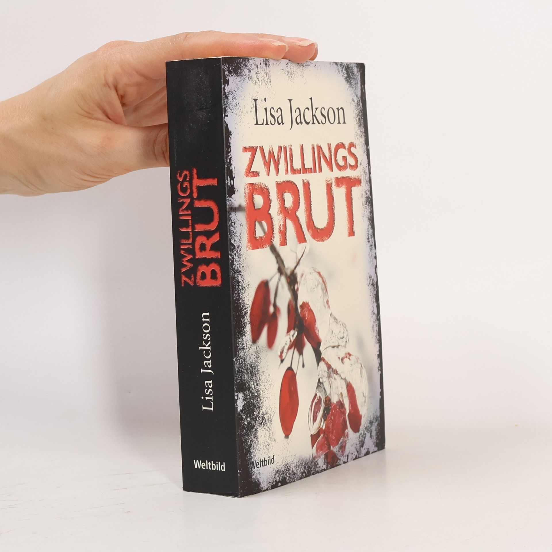Lisa Jackson Zwillingsbrut