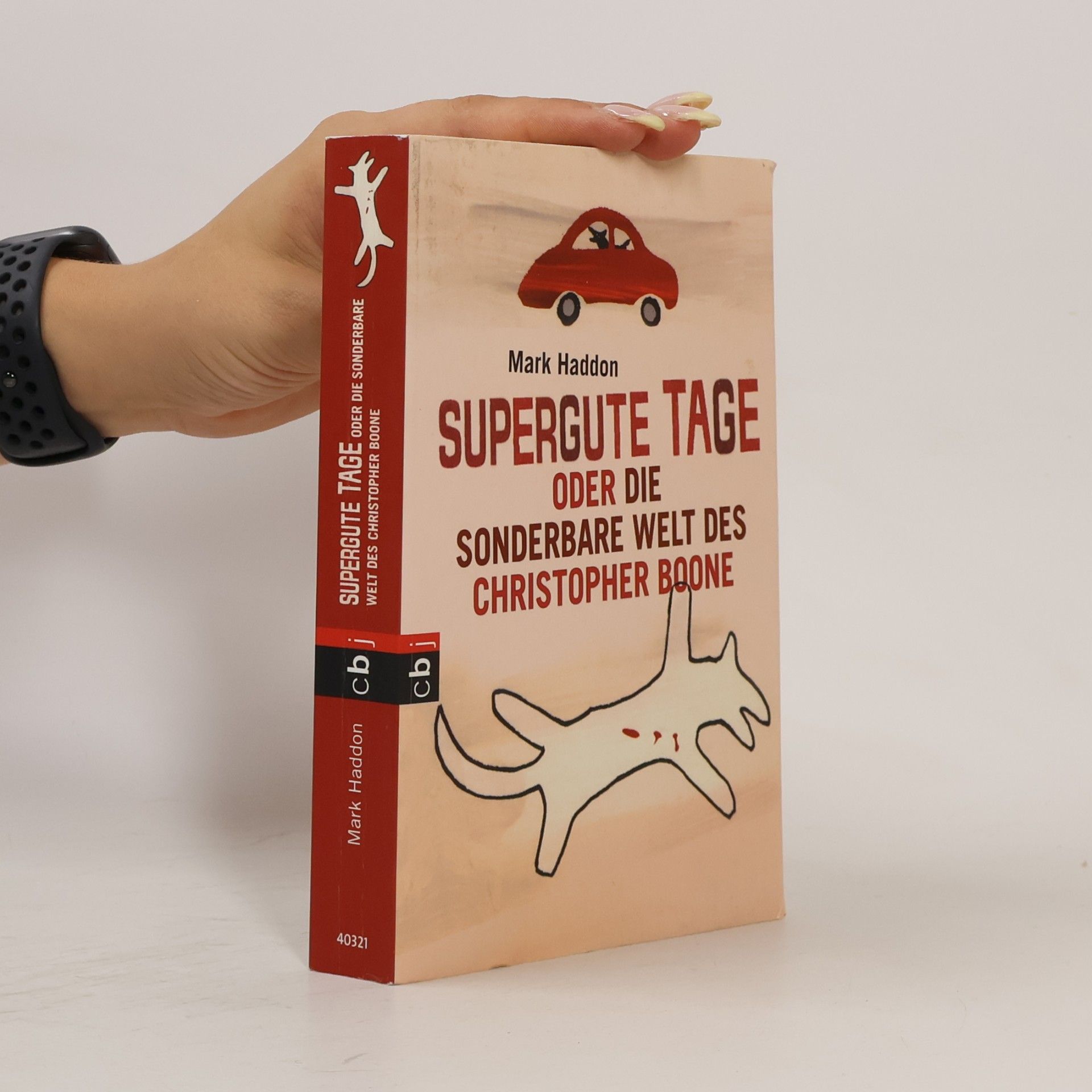 Supergute Tage oder die sonderbare Welt des Christopher Boone