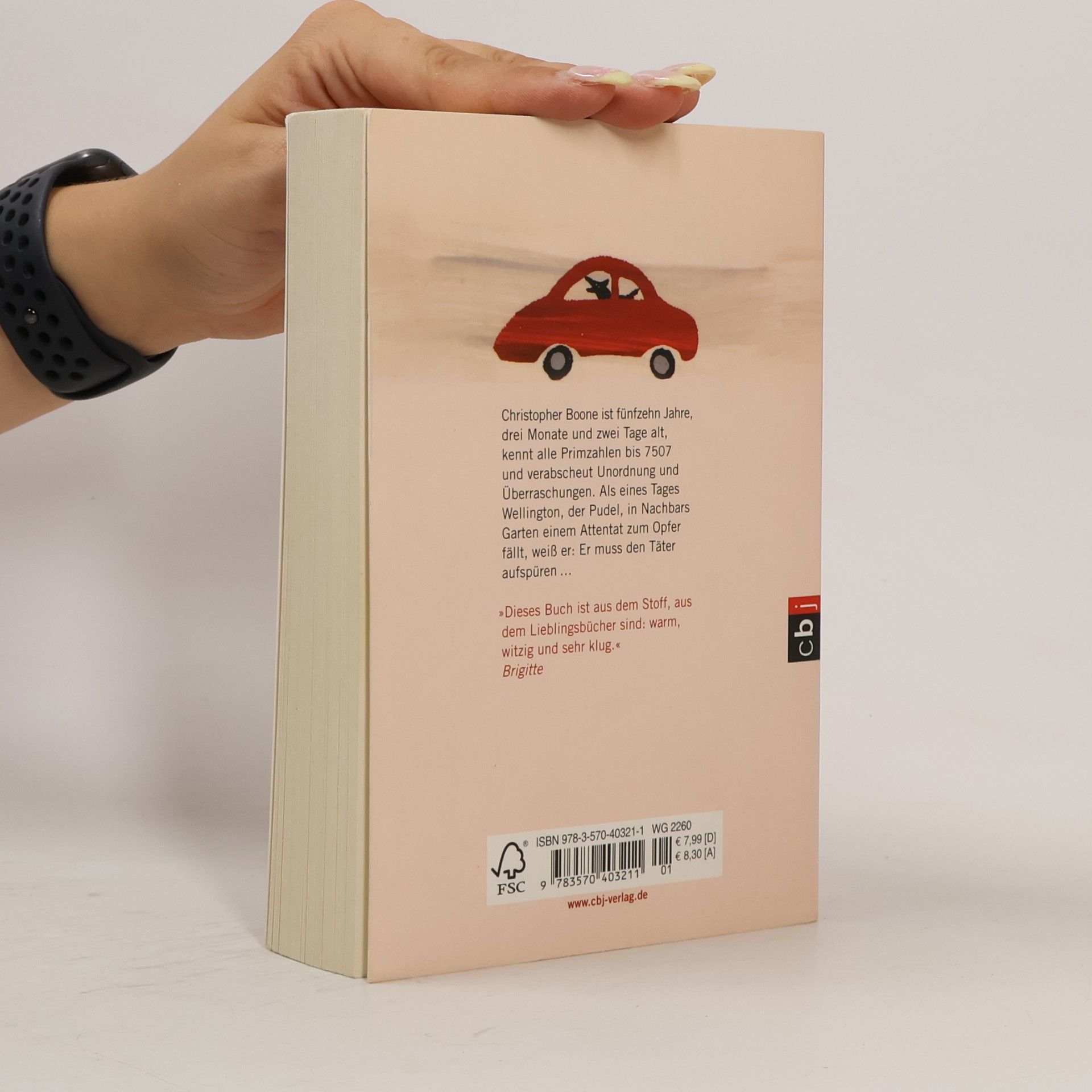 Mark Haddon Supergute Tage oder die sonderbare Welt des Christopher Boone