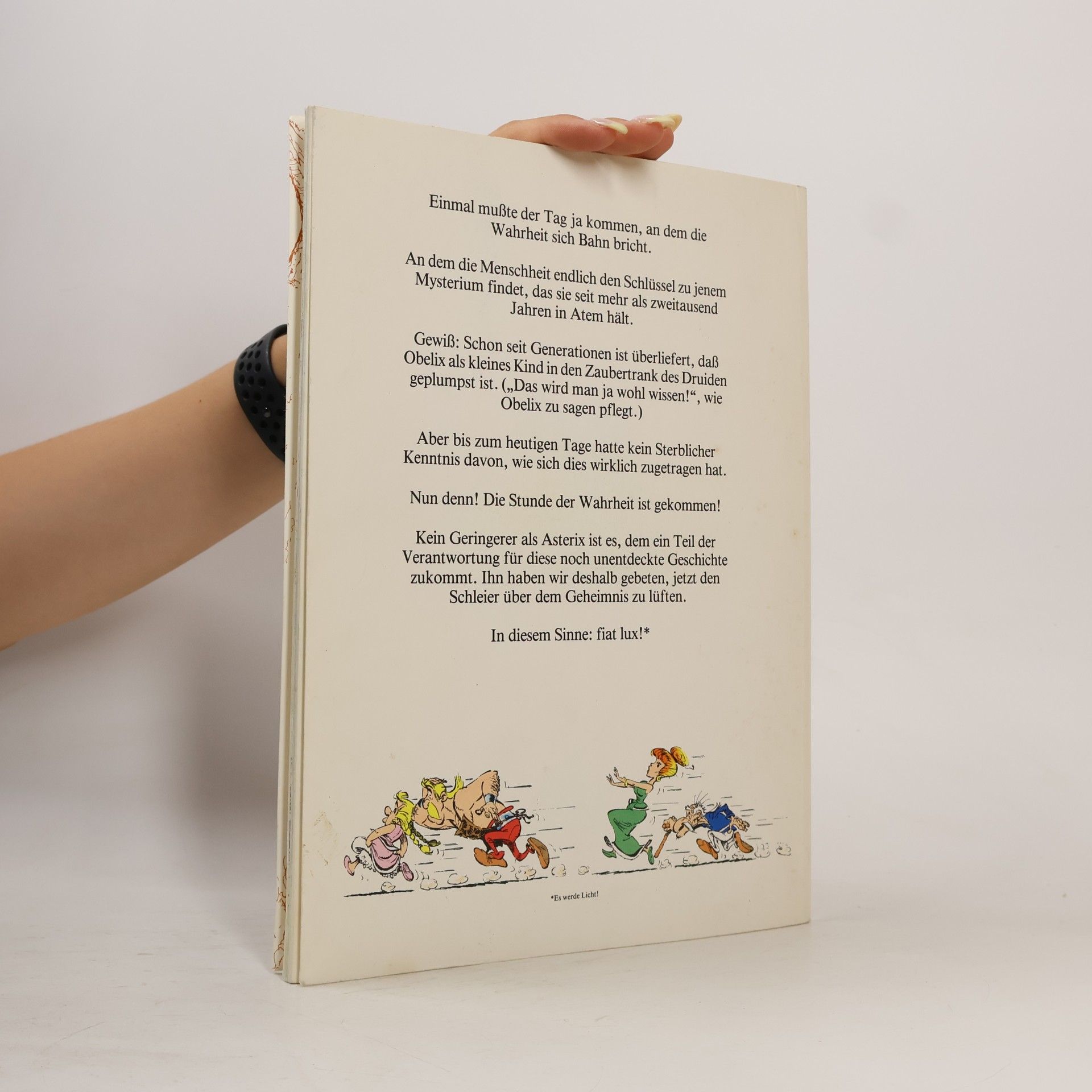 Autorenkollektiv Wie Obelix als kleines Kind in den Zaubertrank geplumpst ist