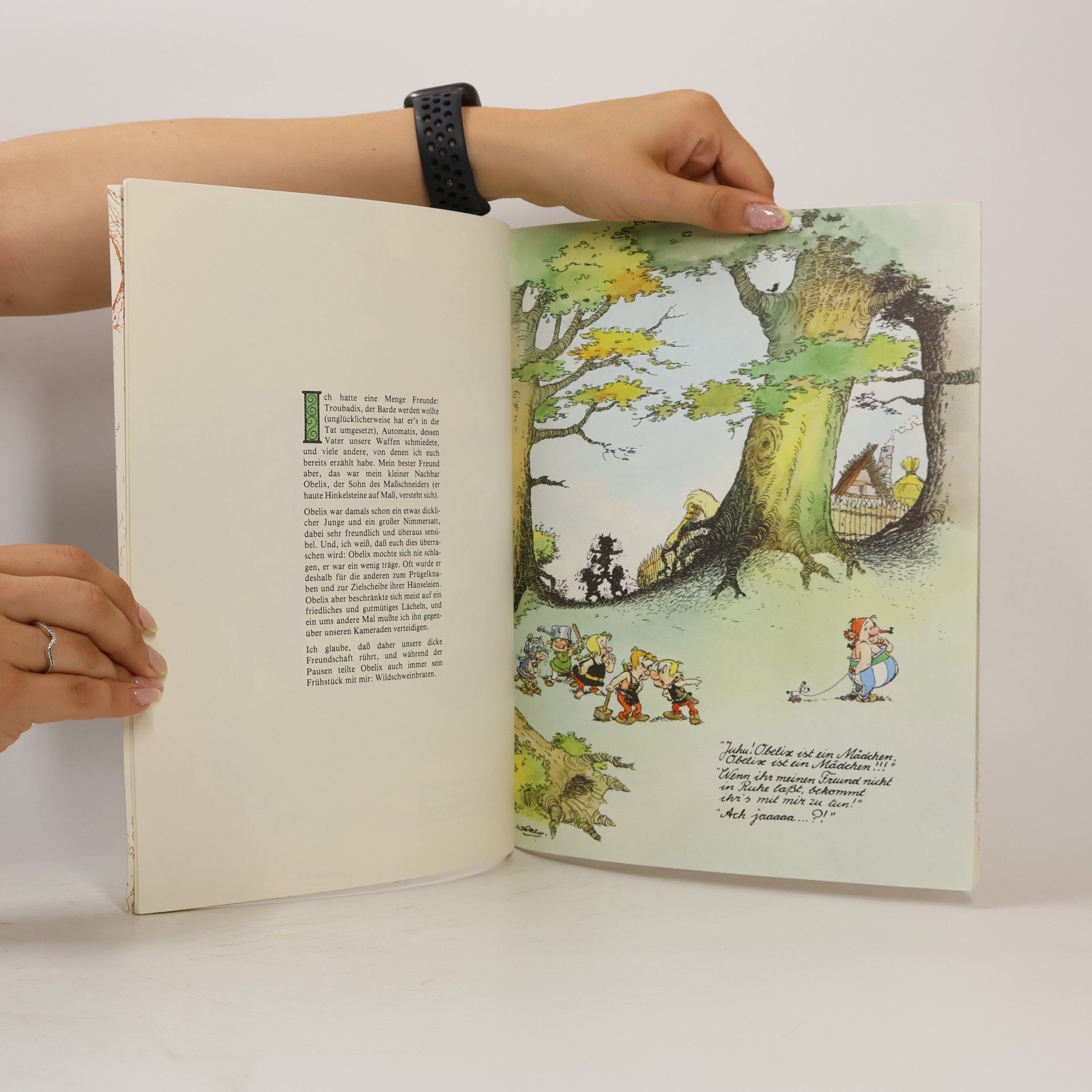 Autorenkollektiv Wie Obelix als kleines Kind in den Zaubertrank geplumpst ist