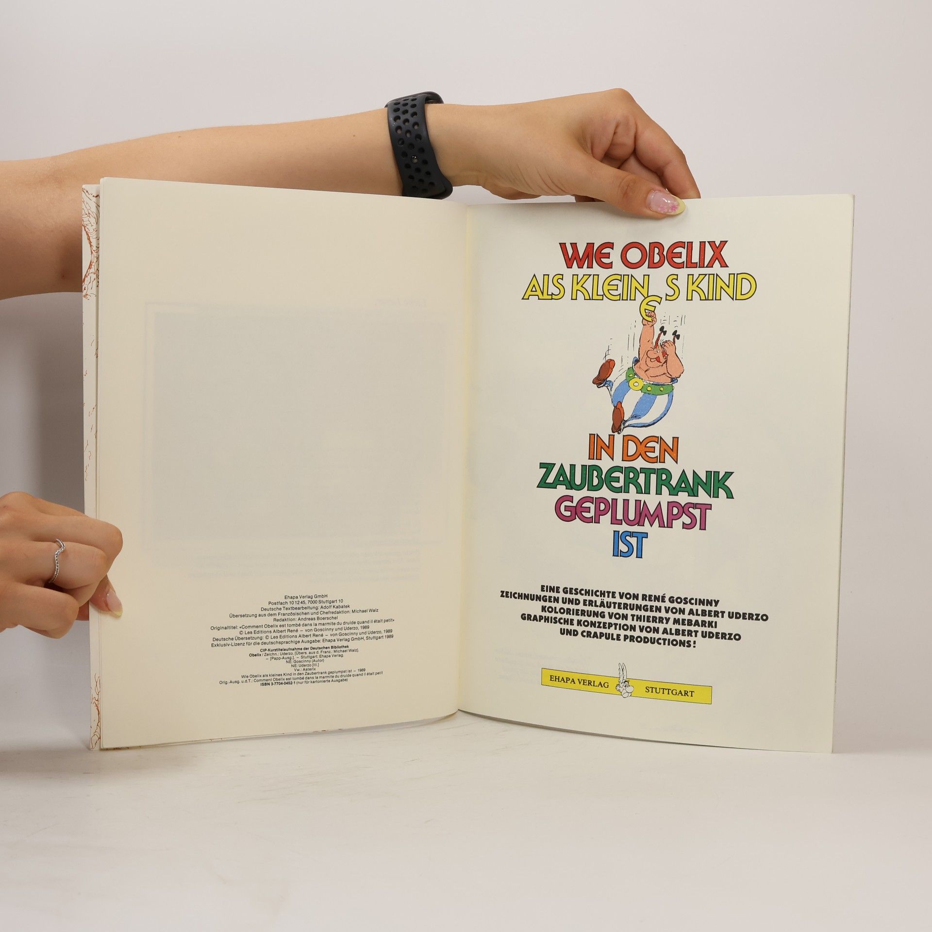Autorenkollektiv Wie Obelix als kleines Kind in den Zaubertrank geplumpst ist