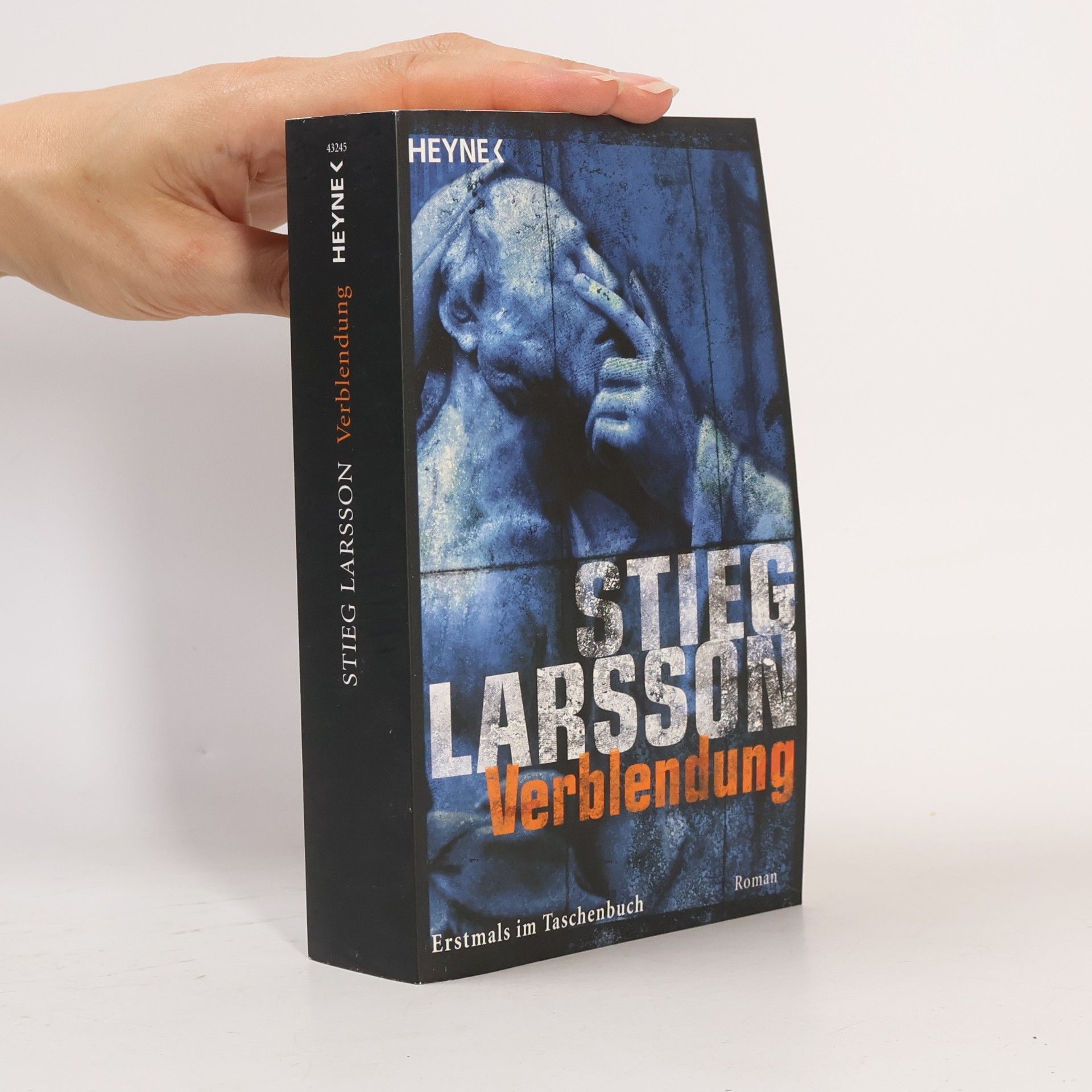 Stieg Larsson Verblendung