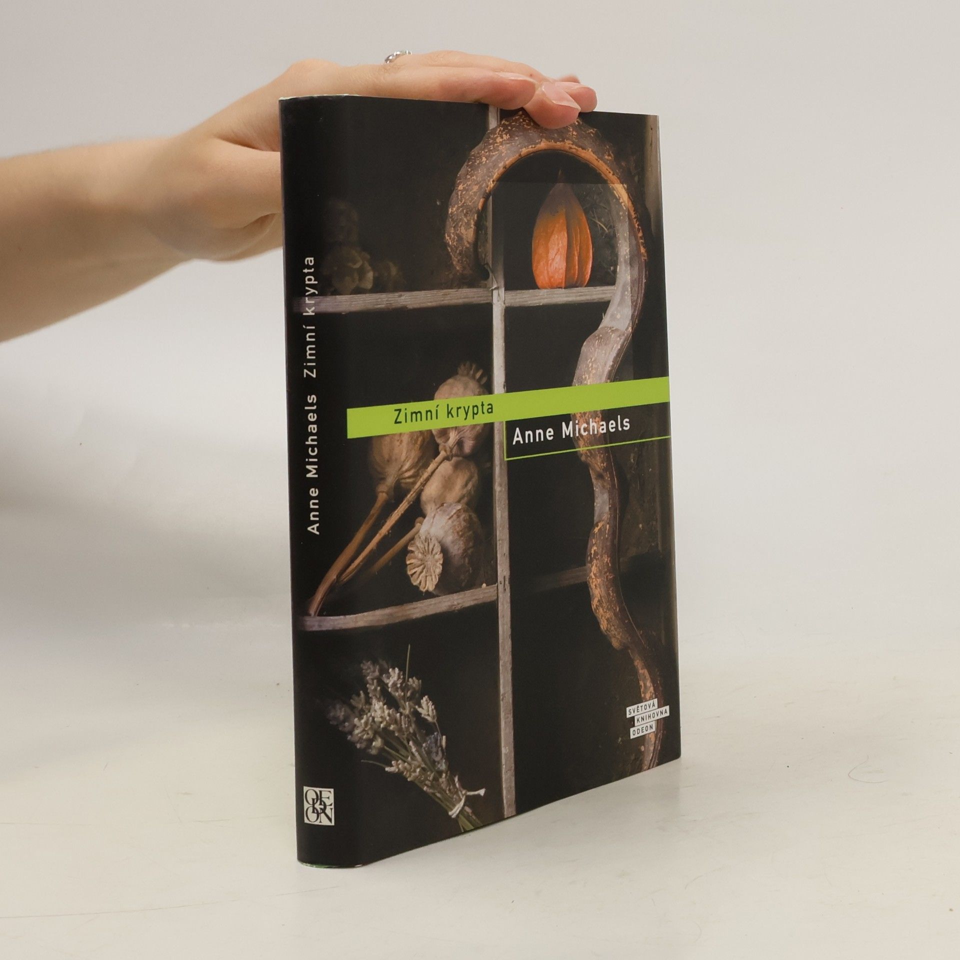 Anne Michaels Zimní krypta