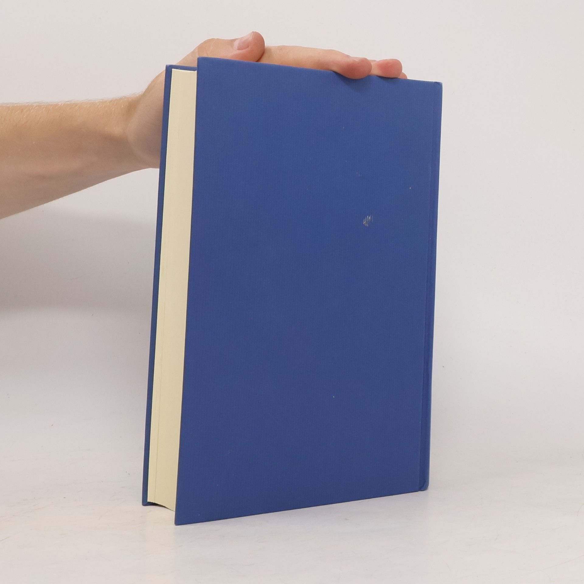 Sally Beauman Die Liebe einer Unbekannten