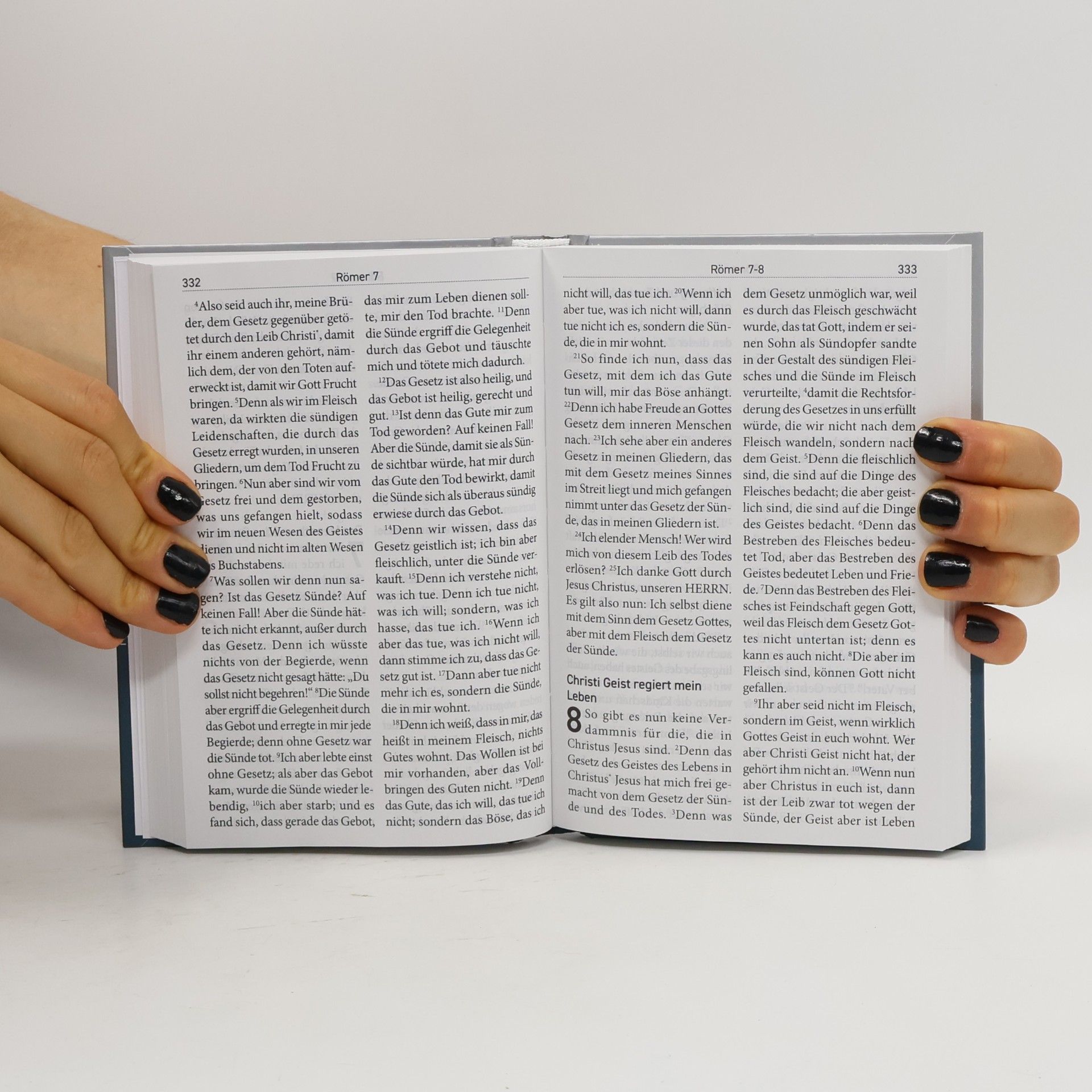 Martin Luther Die Bibel