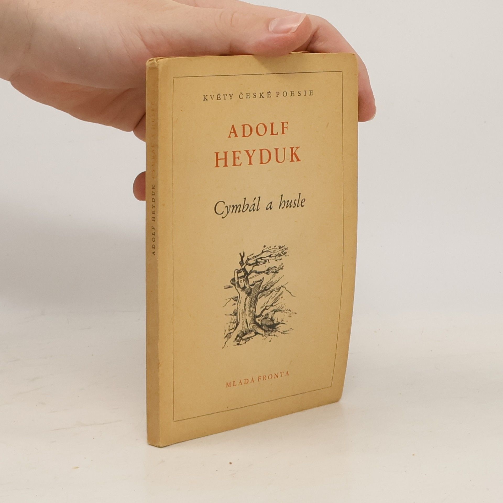 Adolf Heyduk Cymbál a husle
