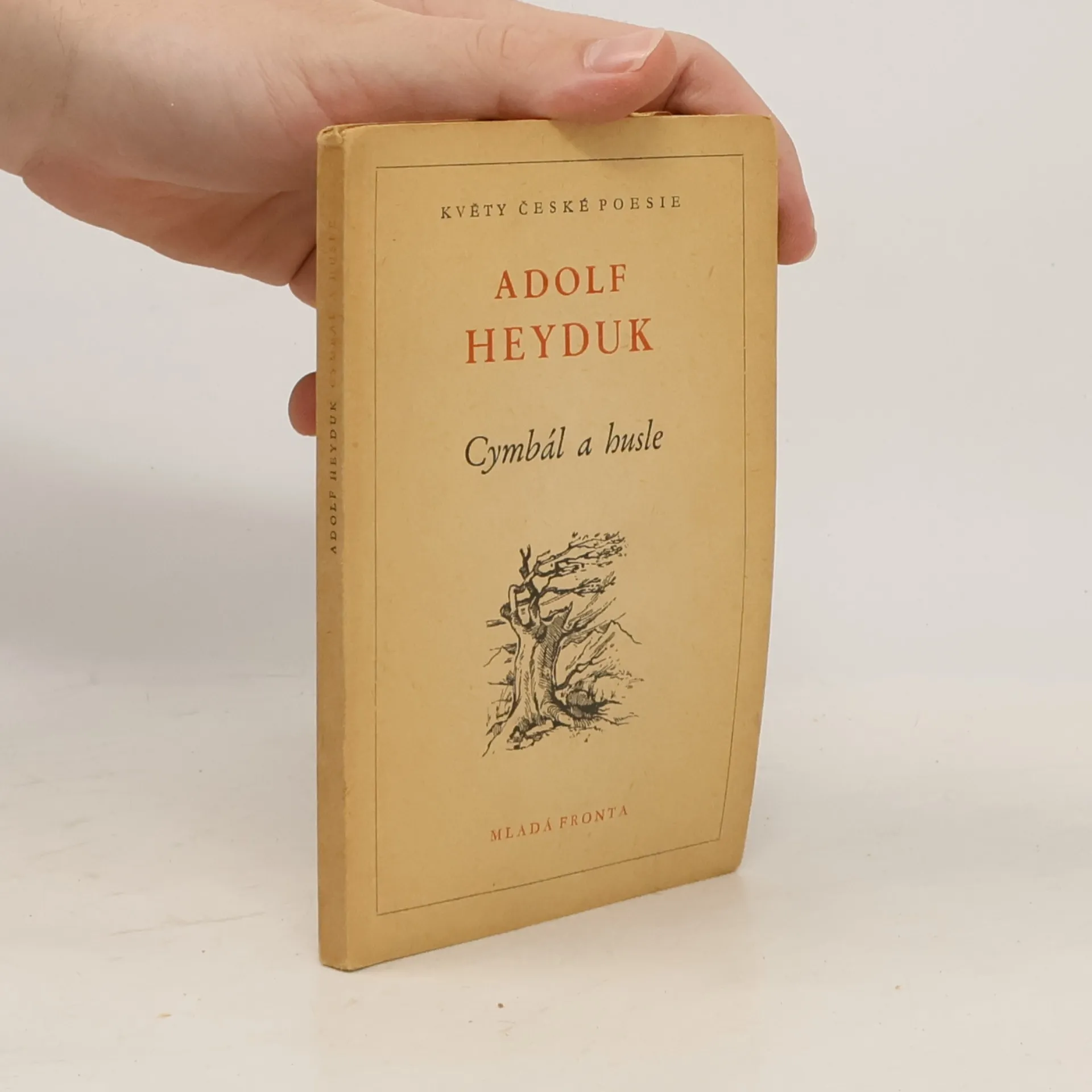 Adolf Heyduk Cymbál a husle