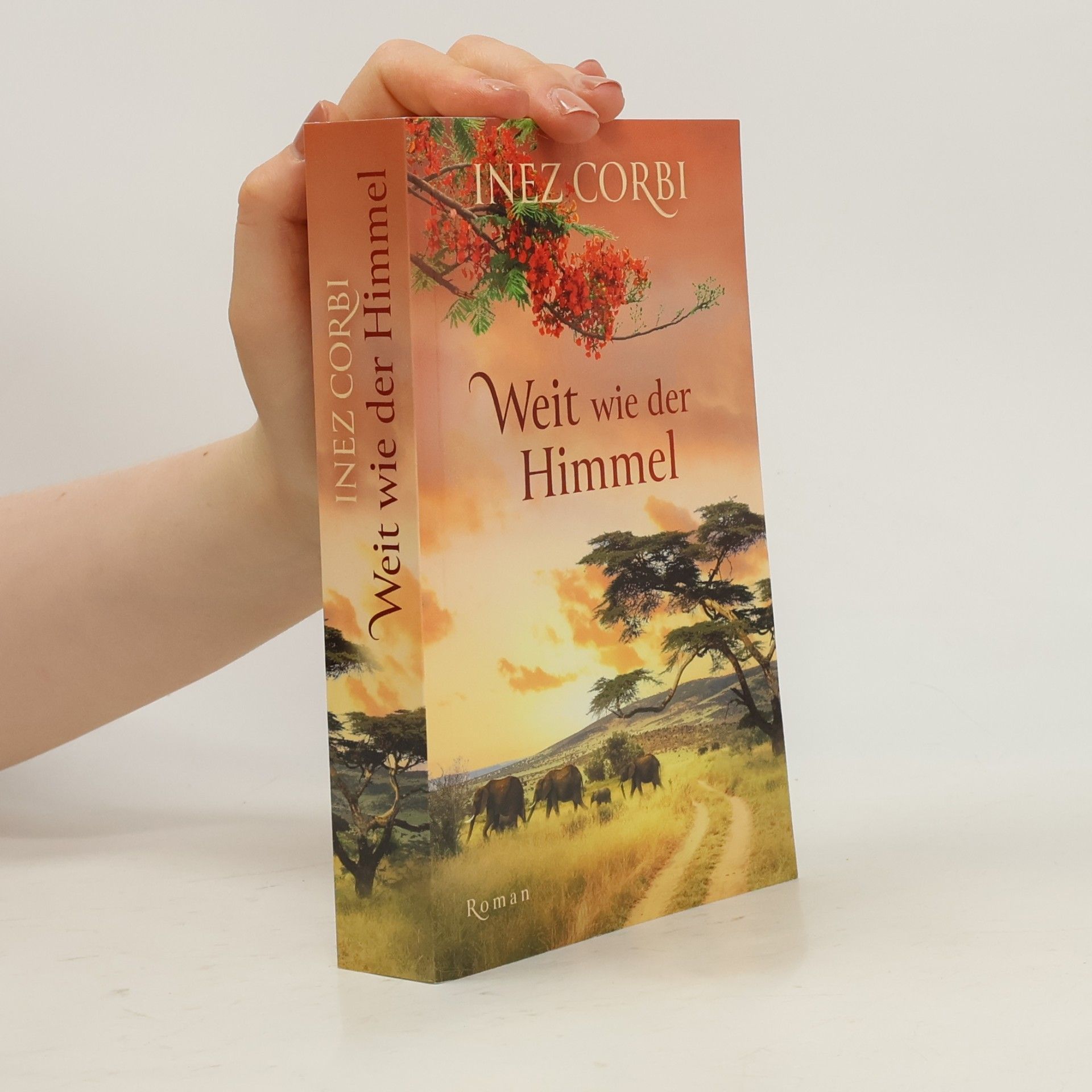 Inez Corbi Weit wie der Himmel