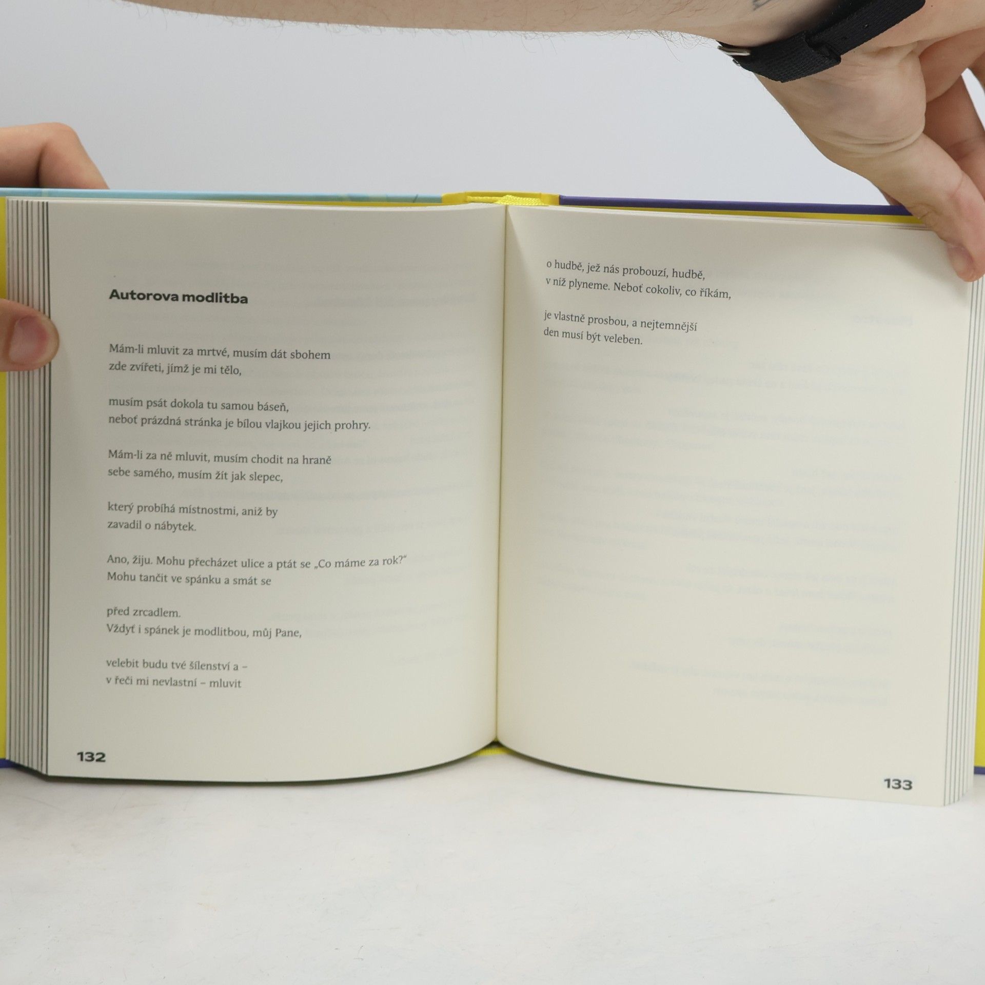 * antologie Dinosauři v ulicích: Antologie současné americké poezie