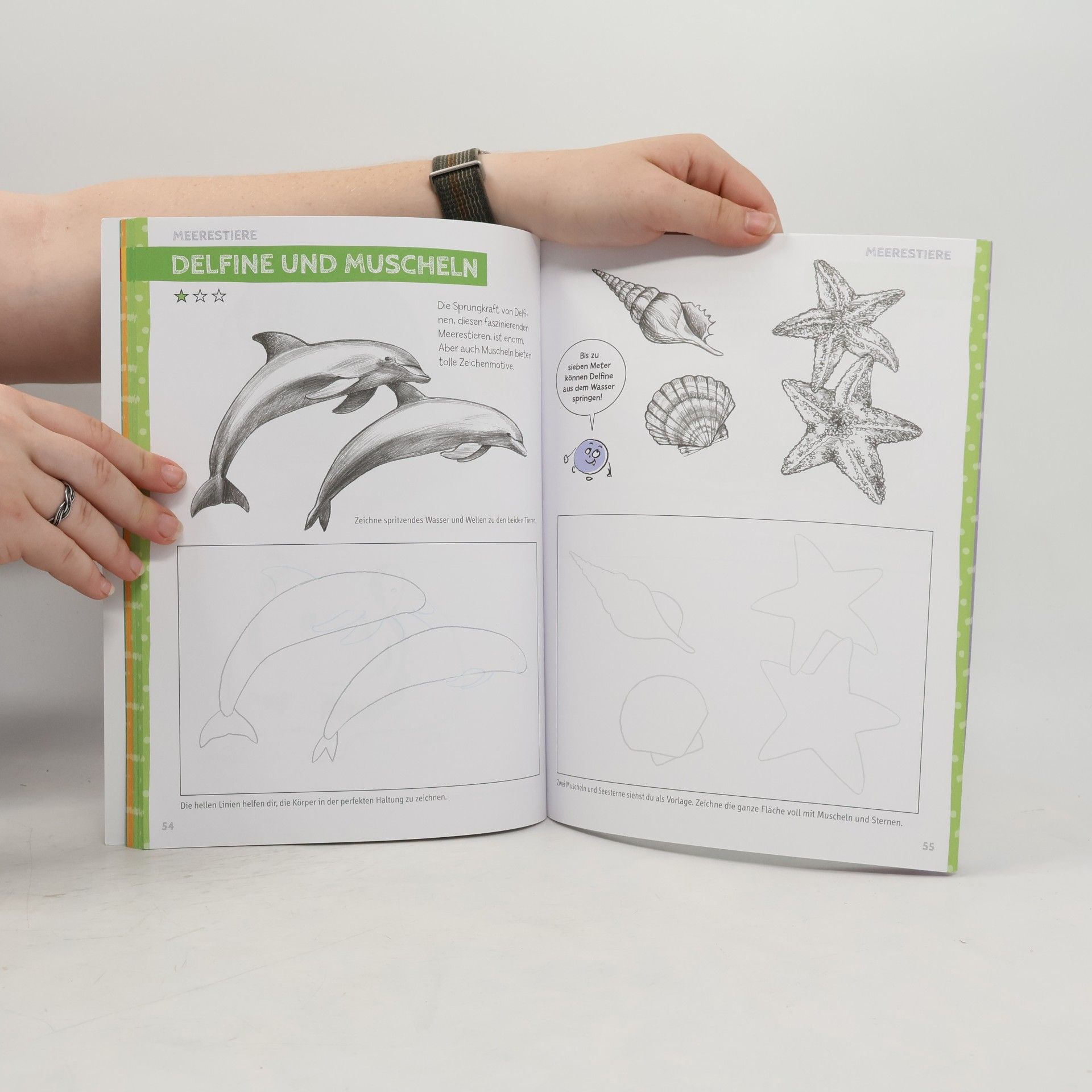 Gecko Keck Die Kunst des Zeichnens für Kinder - Übungsbuch