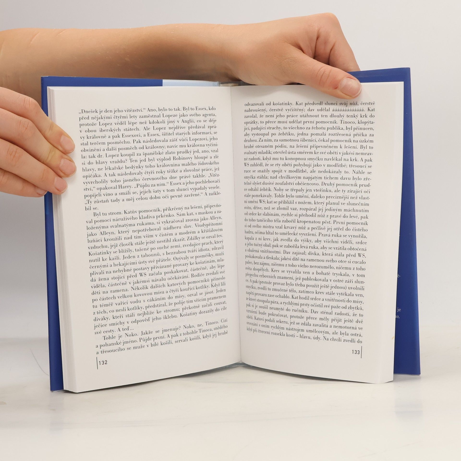 Anthony Burgess Všechno, jen slunce ne. Příběh Shakespearova milostného života
